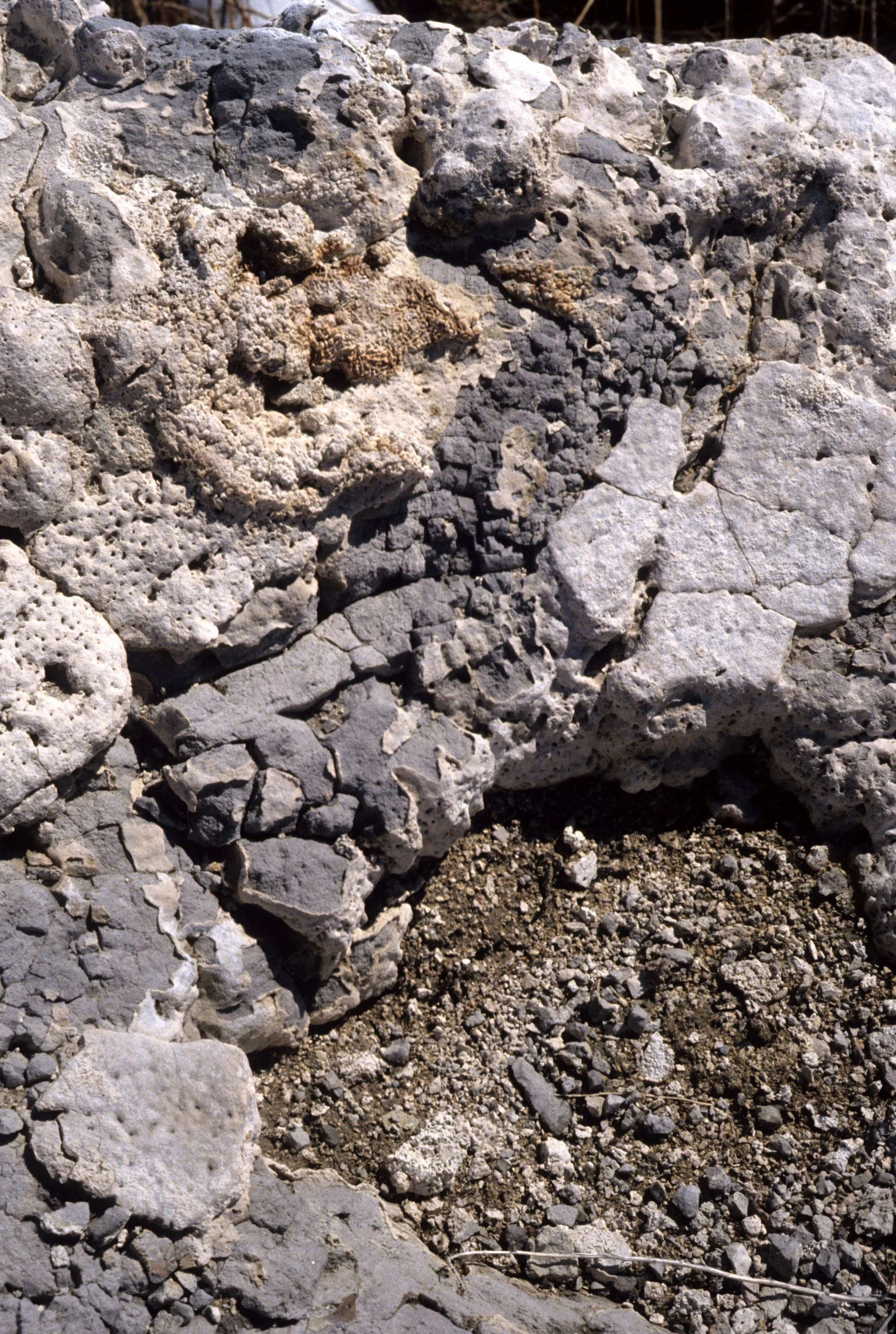 CALIFORNIA - MONO LAKE - CACLIUM CARBONATE DEPOSITS B (2).jpg