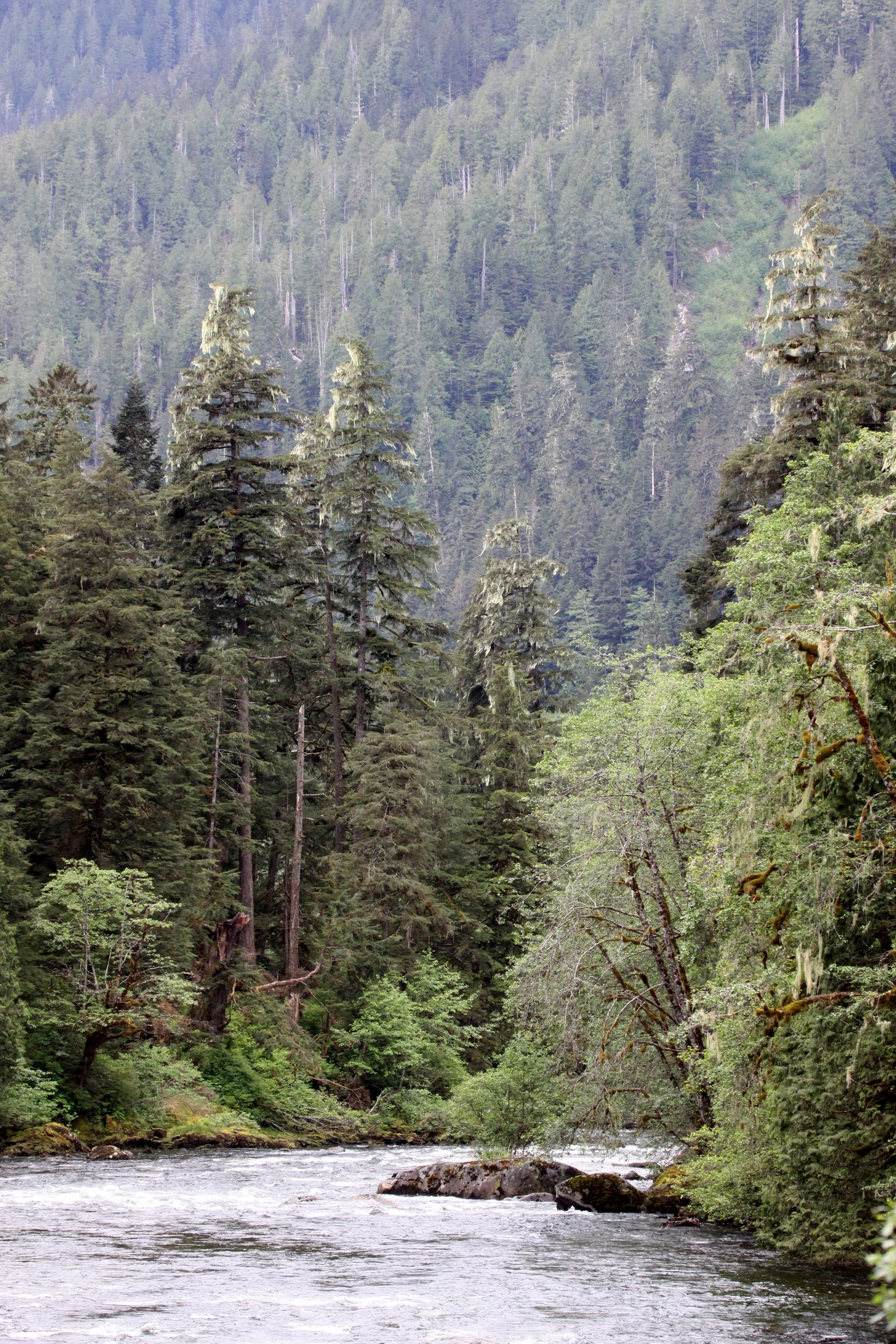THOMPSON SOUND BC - VIEW FROM TRAPPER RICKS CABIN.JPG