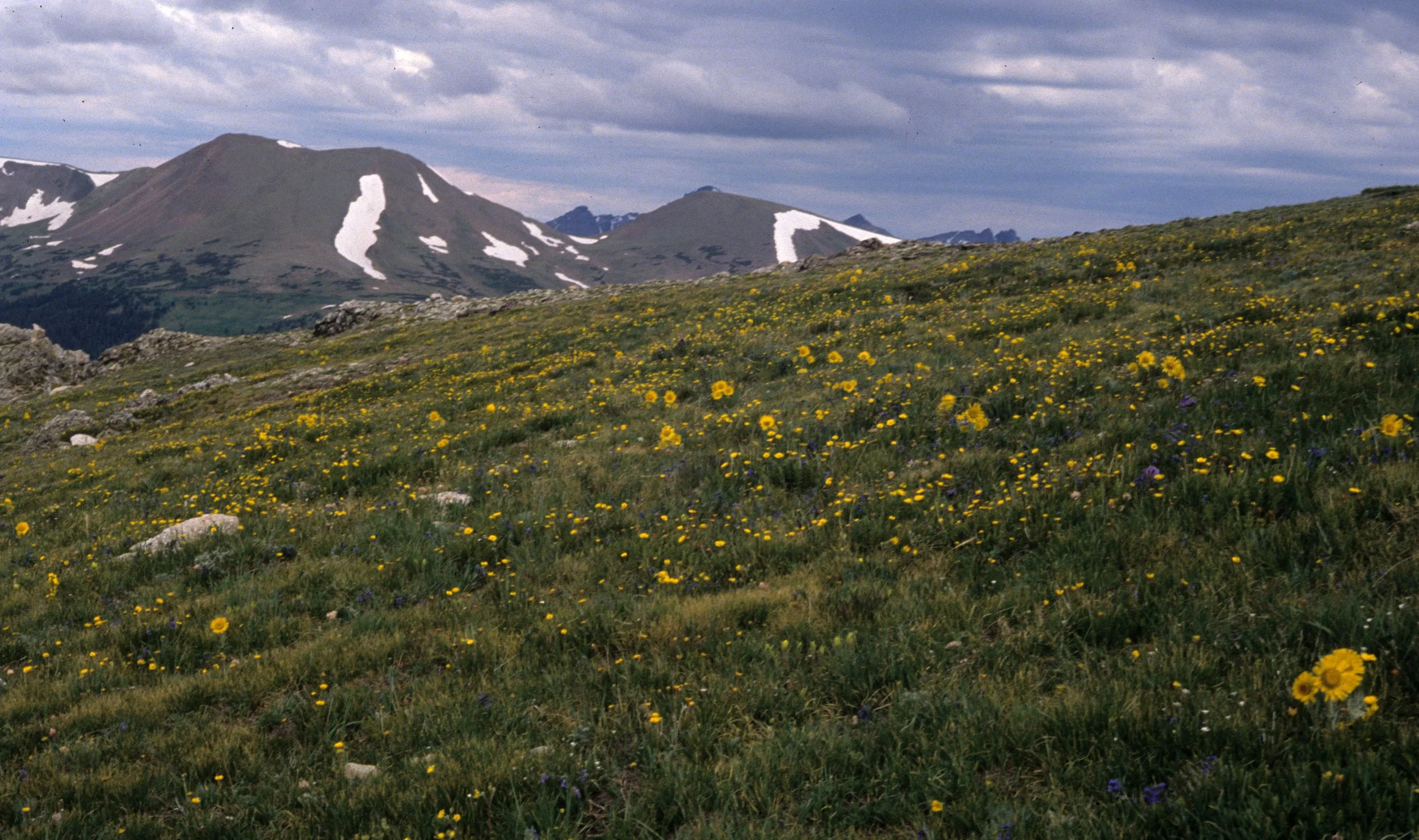 COLORADO - ROCKIES NATIONAL PARK  - VIEW OF ROCKIES A.jpg
