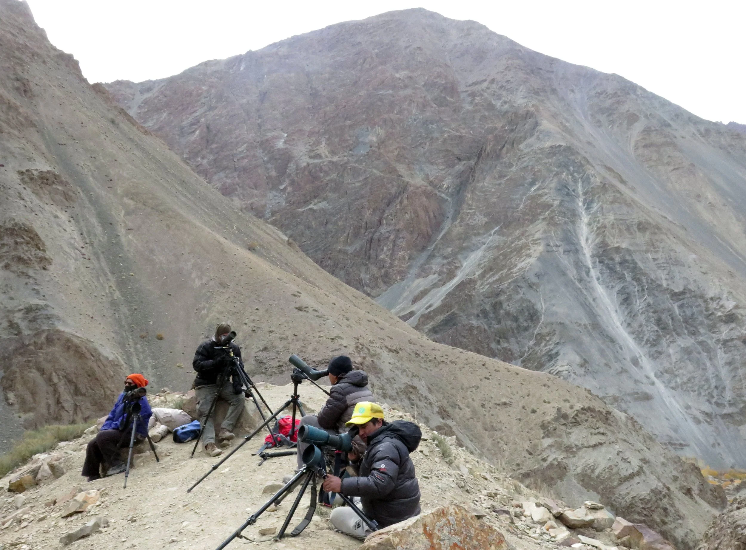 HEMIS NATIONAL PARK - LADAKH INDIA - JAMMU & KASHMIR NEAR RUMBAK VILLAGE (737).JPG