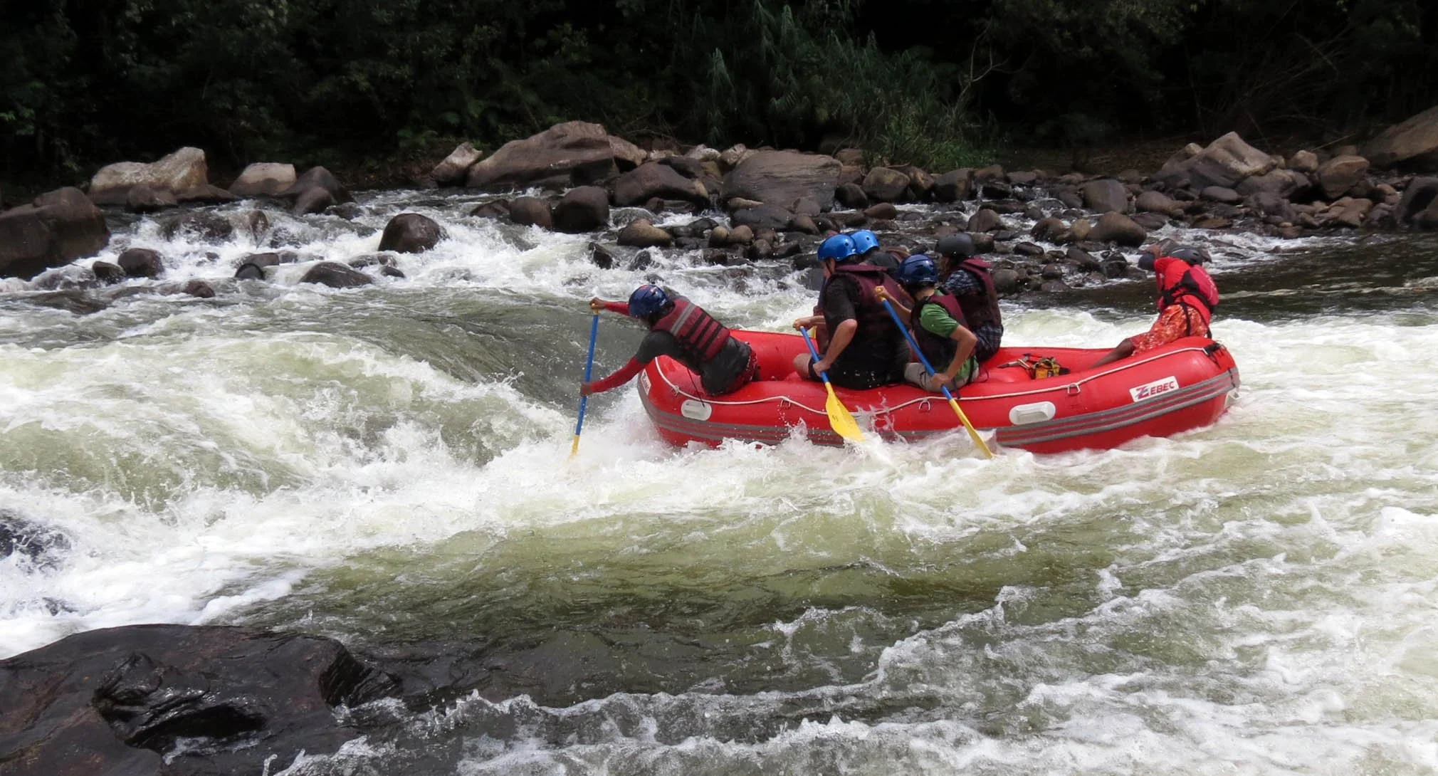 KITULGALA FOREST PRESERVE SRI LANKA (58).JPG