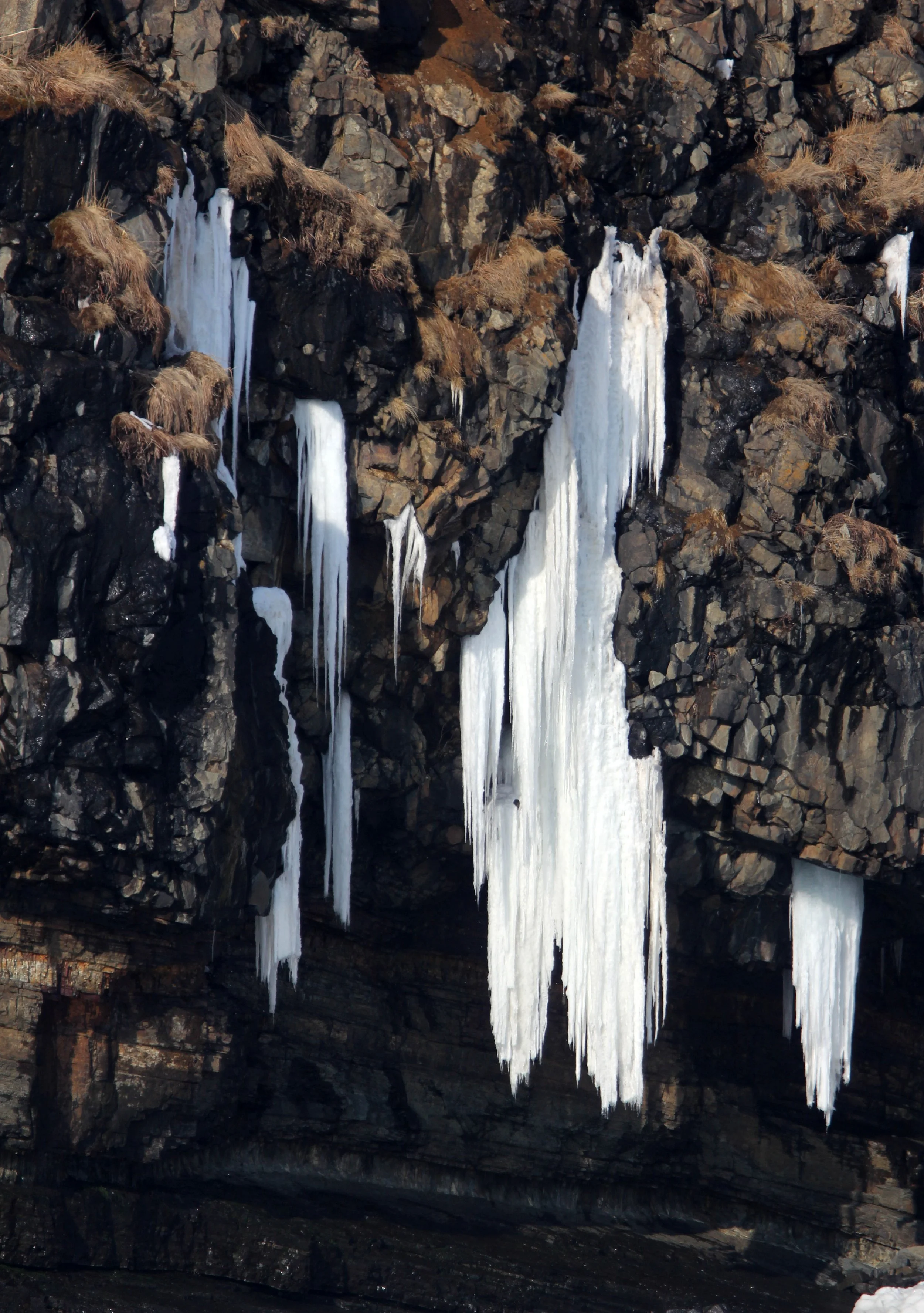 HANASAKI CAPE - NEMURO PENINSULA - HOKKAIDO JAPAN (6).JPG