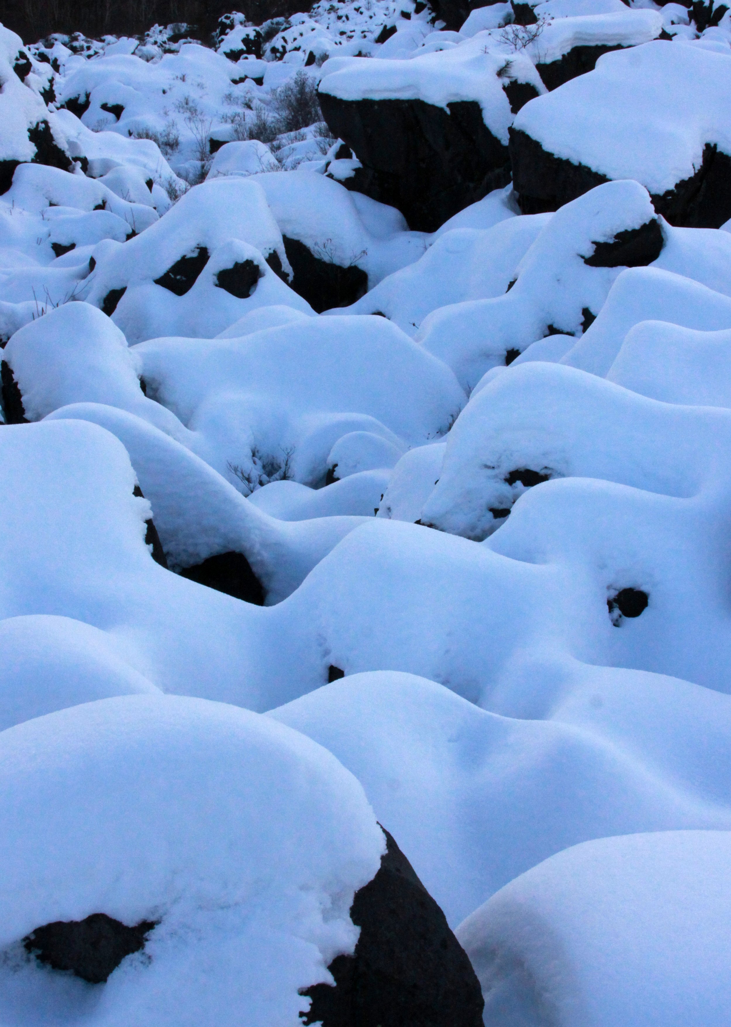 MOUNT ASAMA - JOSHIN'ETSUKOGEN NATIONAL PARK JAPAN (80).JPG