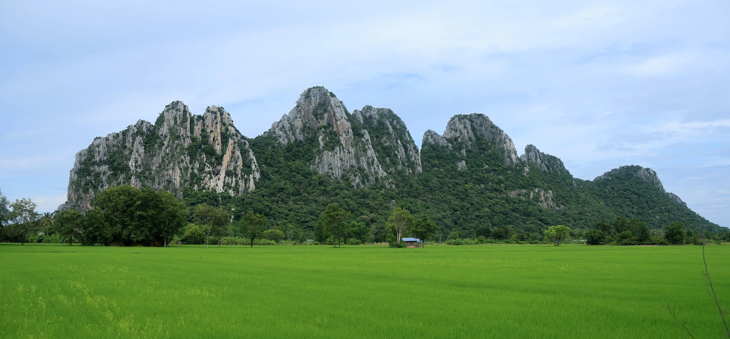 Khao Nor Khao Kaew Bat Viewing Nakhon Sawan (3).JPG