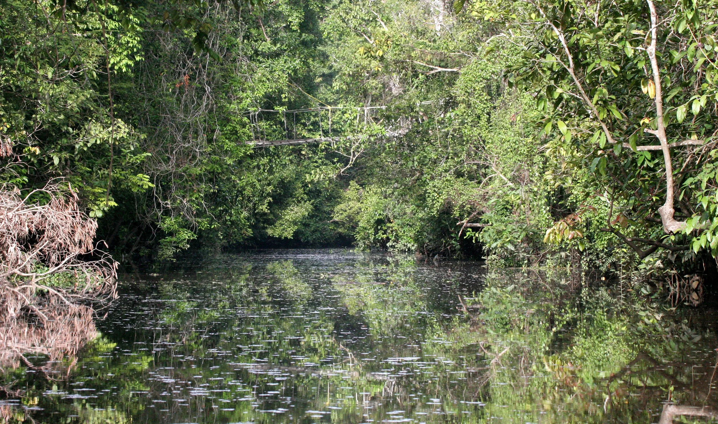 KINABATANGAN RIVER BORNEO - SMALL OXBOW.JPG