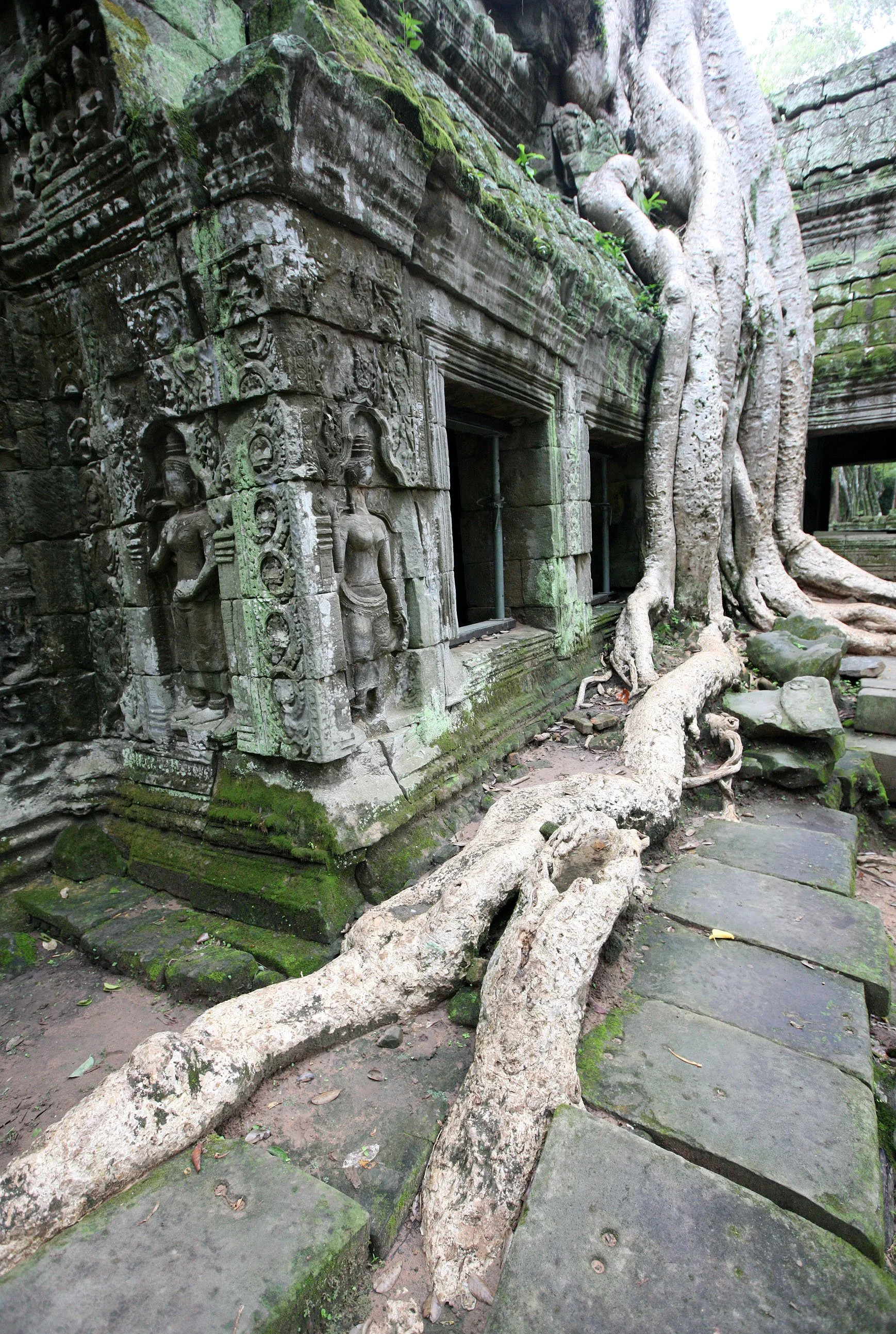 TA PROHM TEMPLE CAMBODIA - JULY 2010 (74).JPG