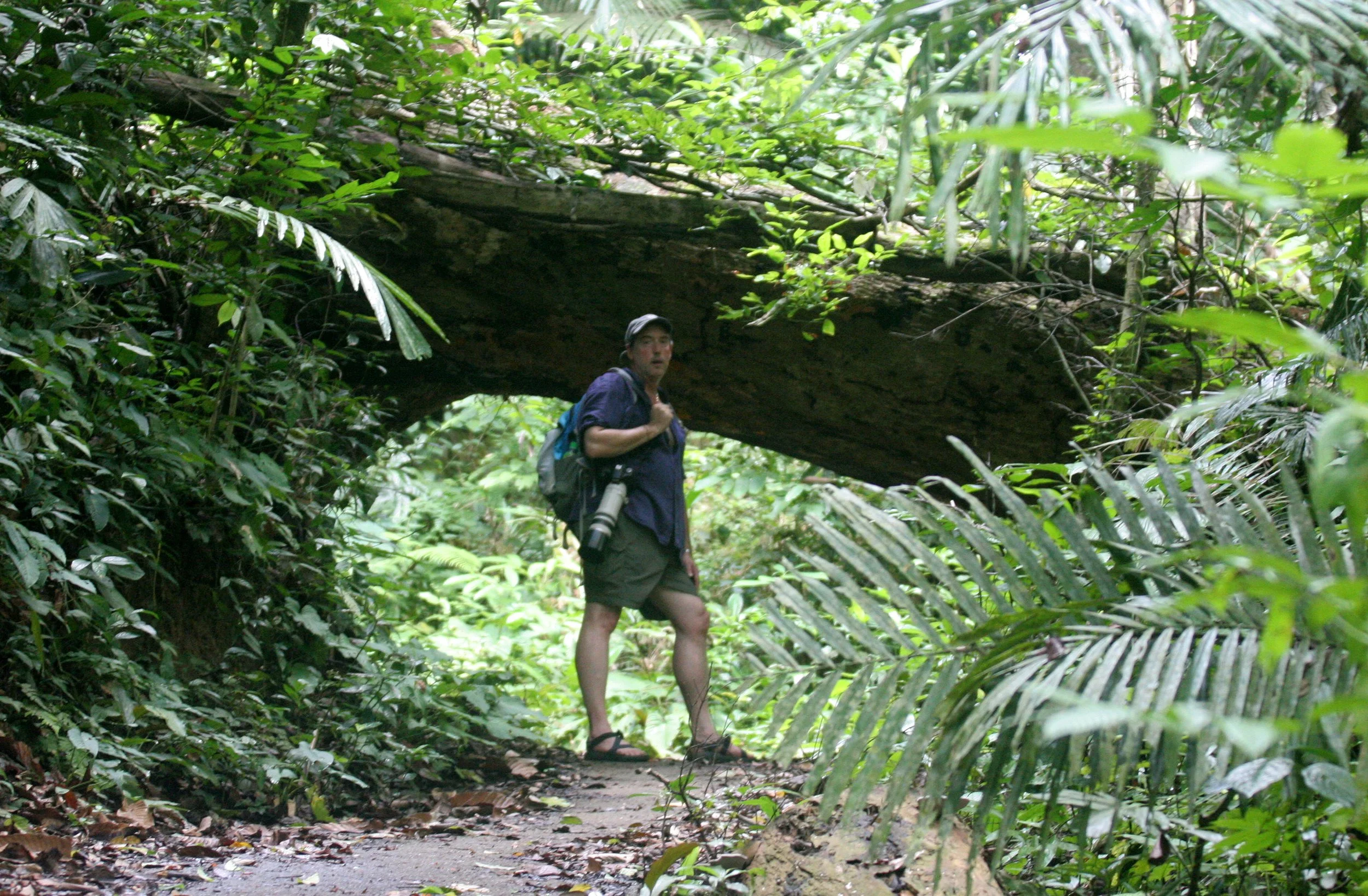 2008 Khao Luang NP Krung Chin Waterfalls Area (18).JPG