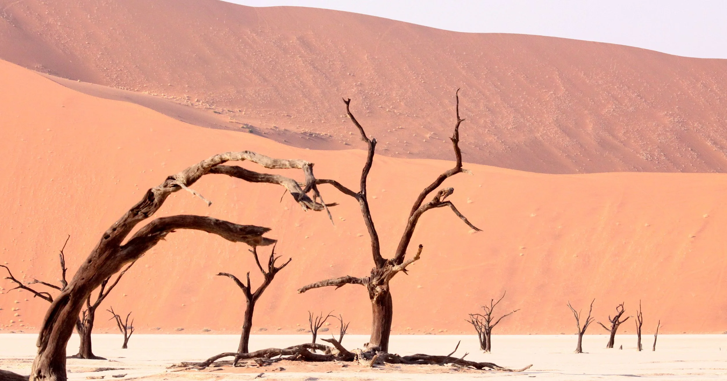 SOSSUSVLEI, NAMIB NAUKLUFT NATIONAL PARK, NAMIBIA - DEAD VLEI (9).JPG