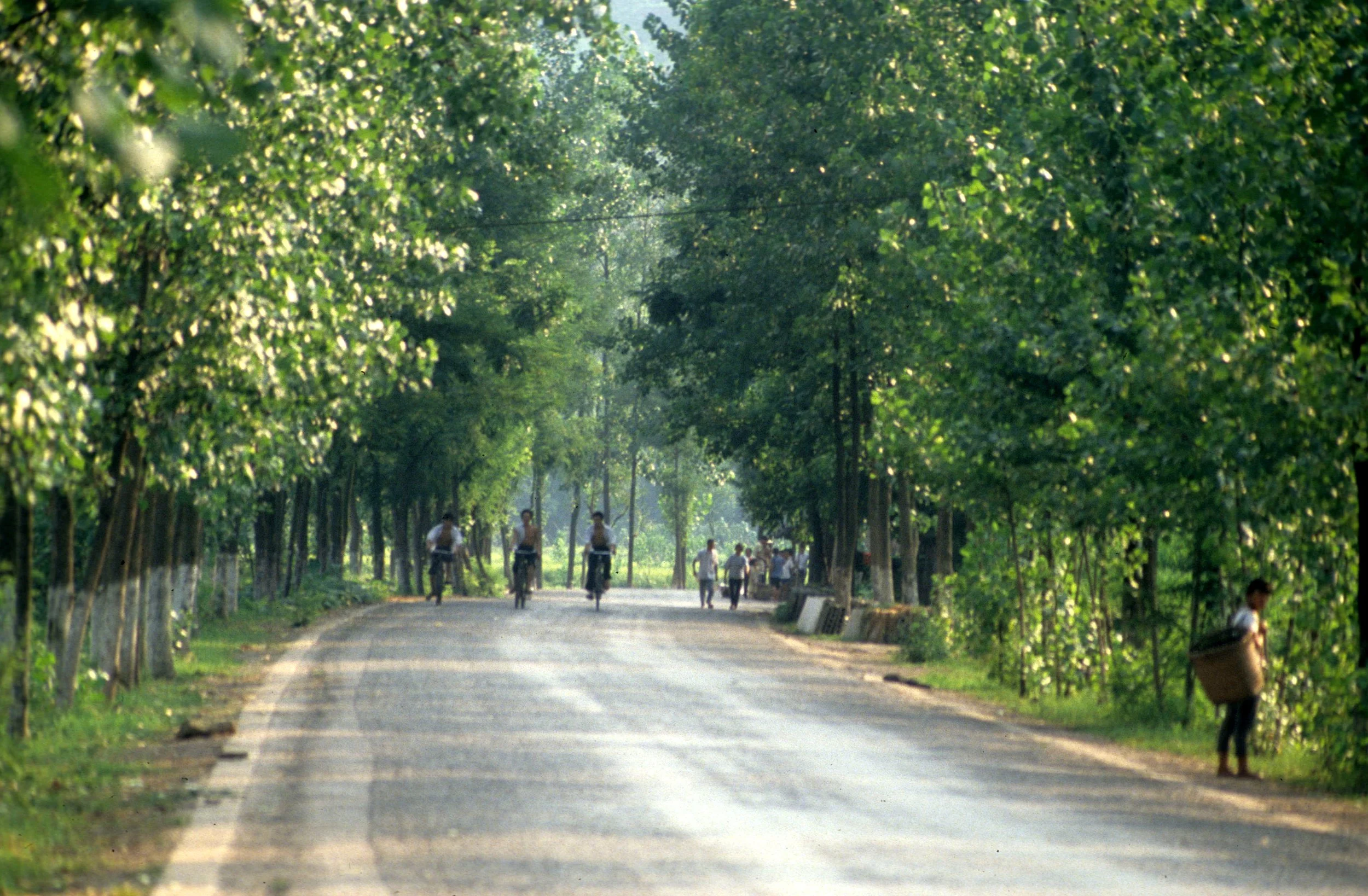 DA ZU - COUNTRYSIDE (2).jpg