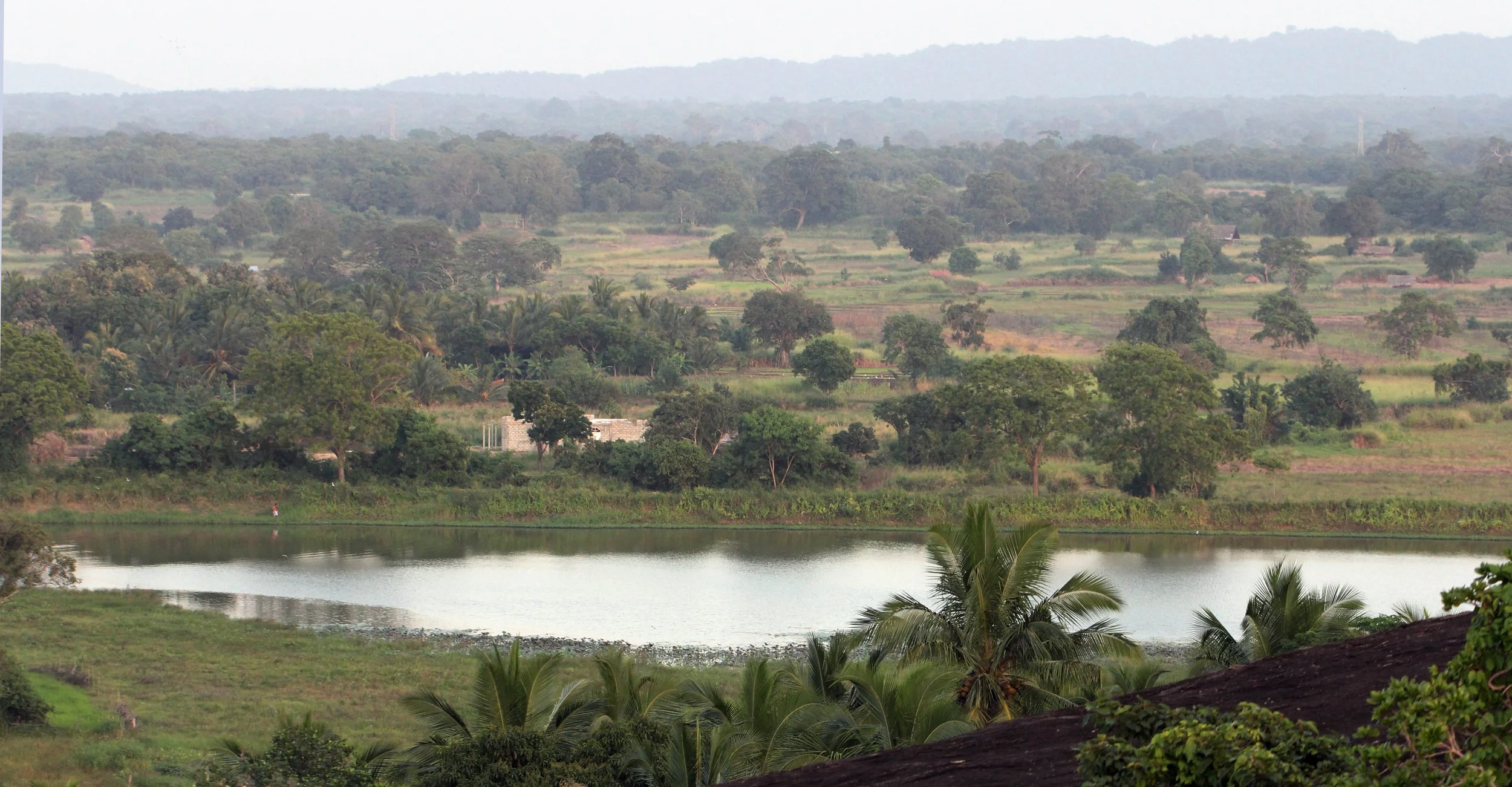SIRIGIYA FOREST AND FORTRESS AREA SRI LANKA - PHOTO BY SOM SMITH (72).JPG