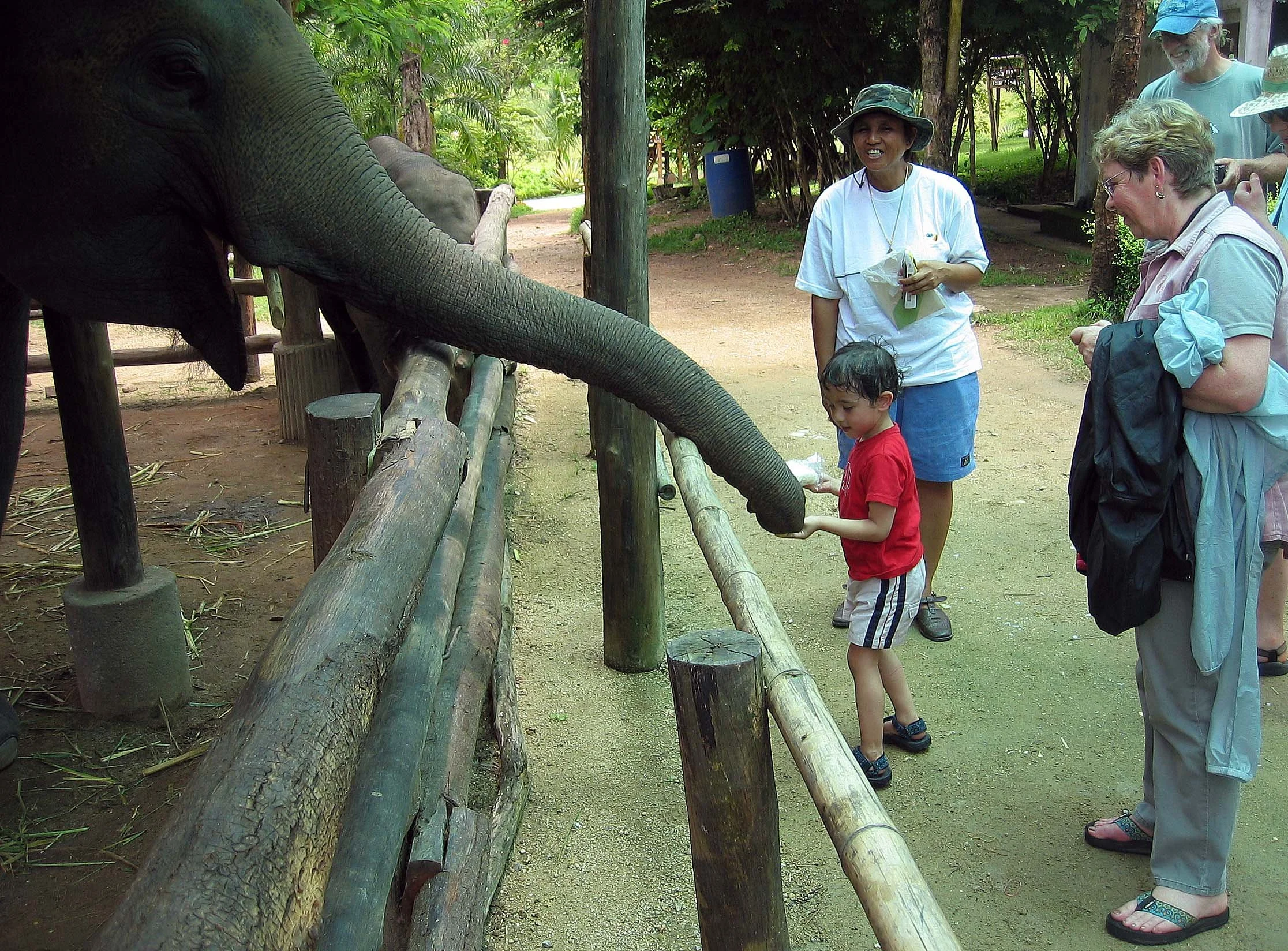 2008 Lampang City & Elephant Center (128).jpg
