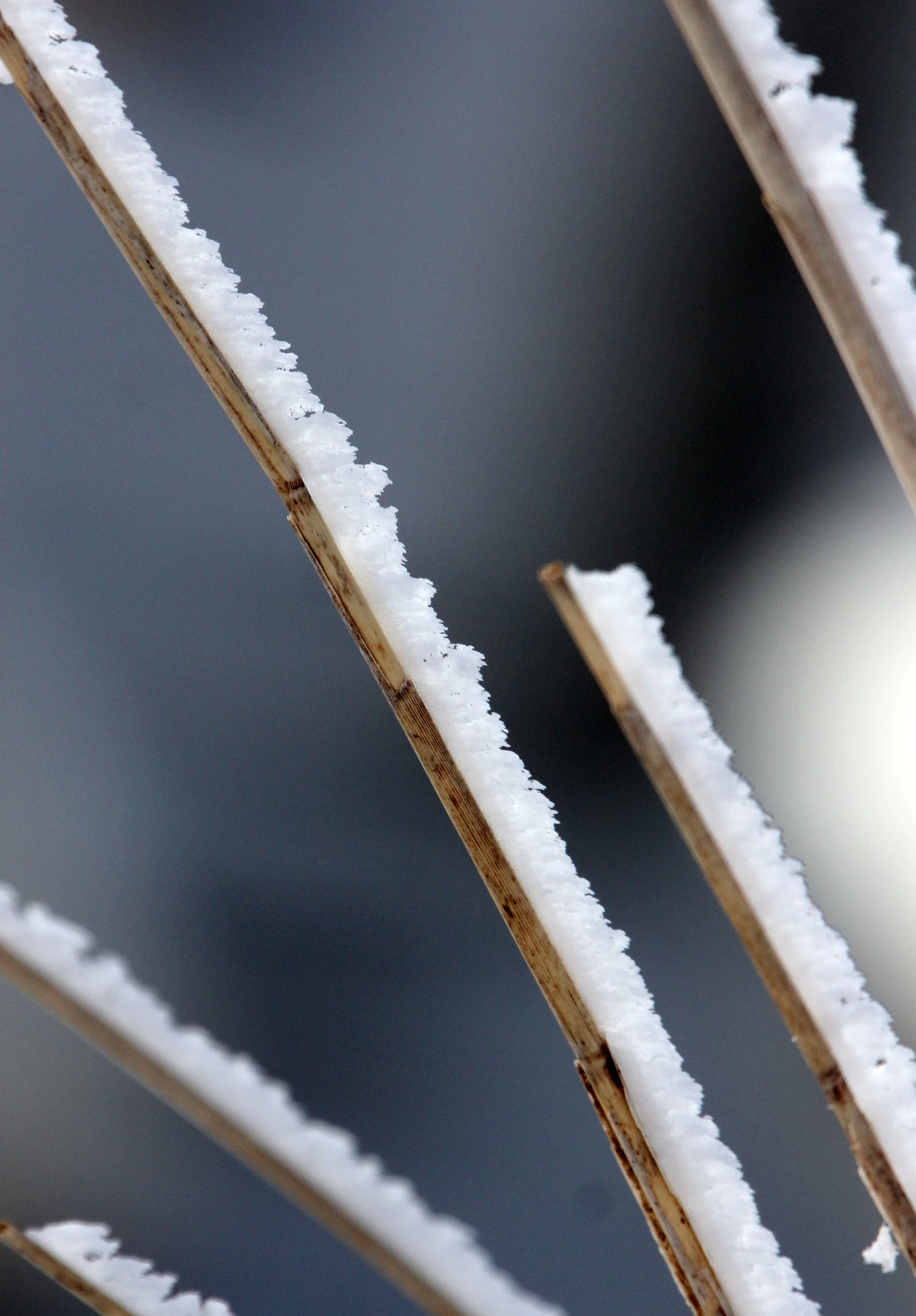 KUSSHARO LAKE - HOKKAIDO JAPAN (1).JPG