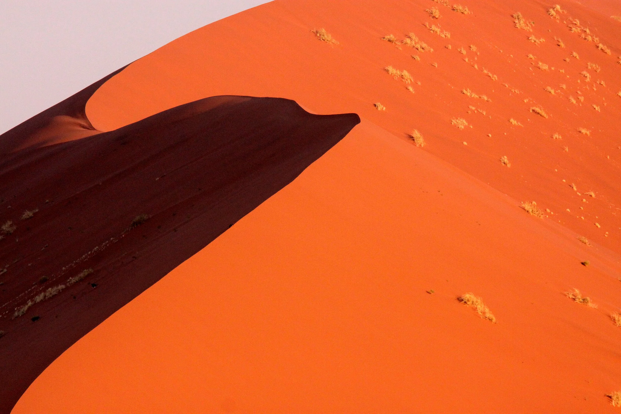 SOSSUSVLEI, NAMIB NAUKLUFT NATIONAL PARK, NAMIBIA (35).JPG