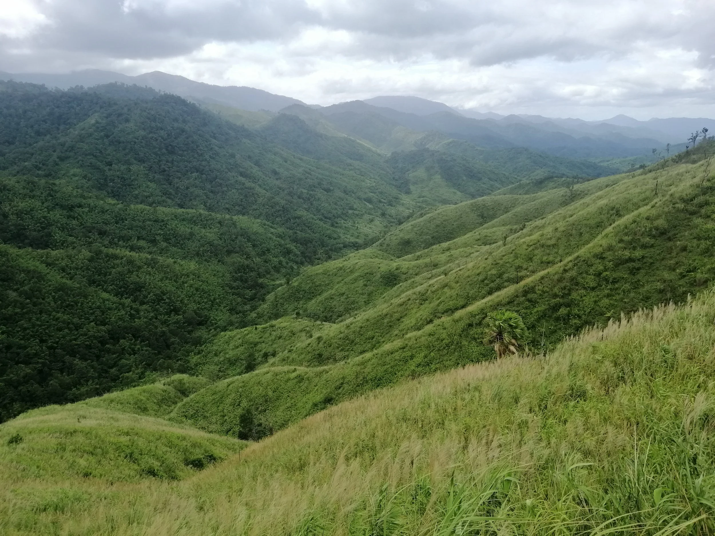 2021 Chong Yen and Surrounding Countryside (41).jpg