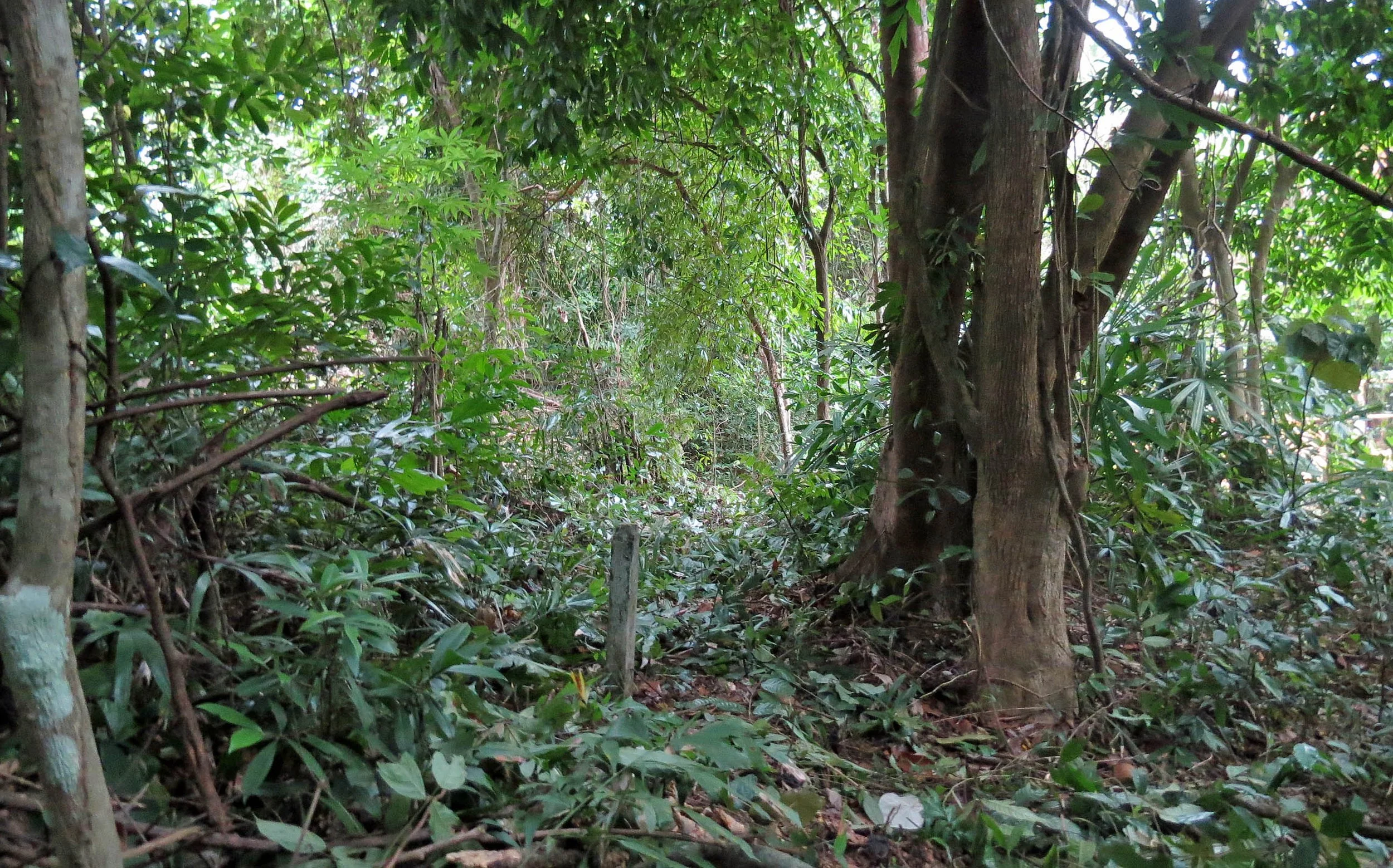 2014 Koh Lanta Build (138).JPG