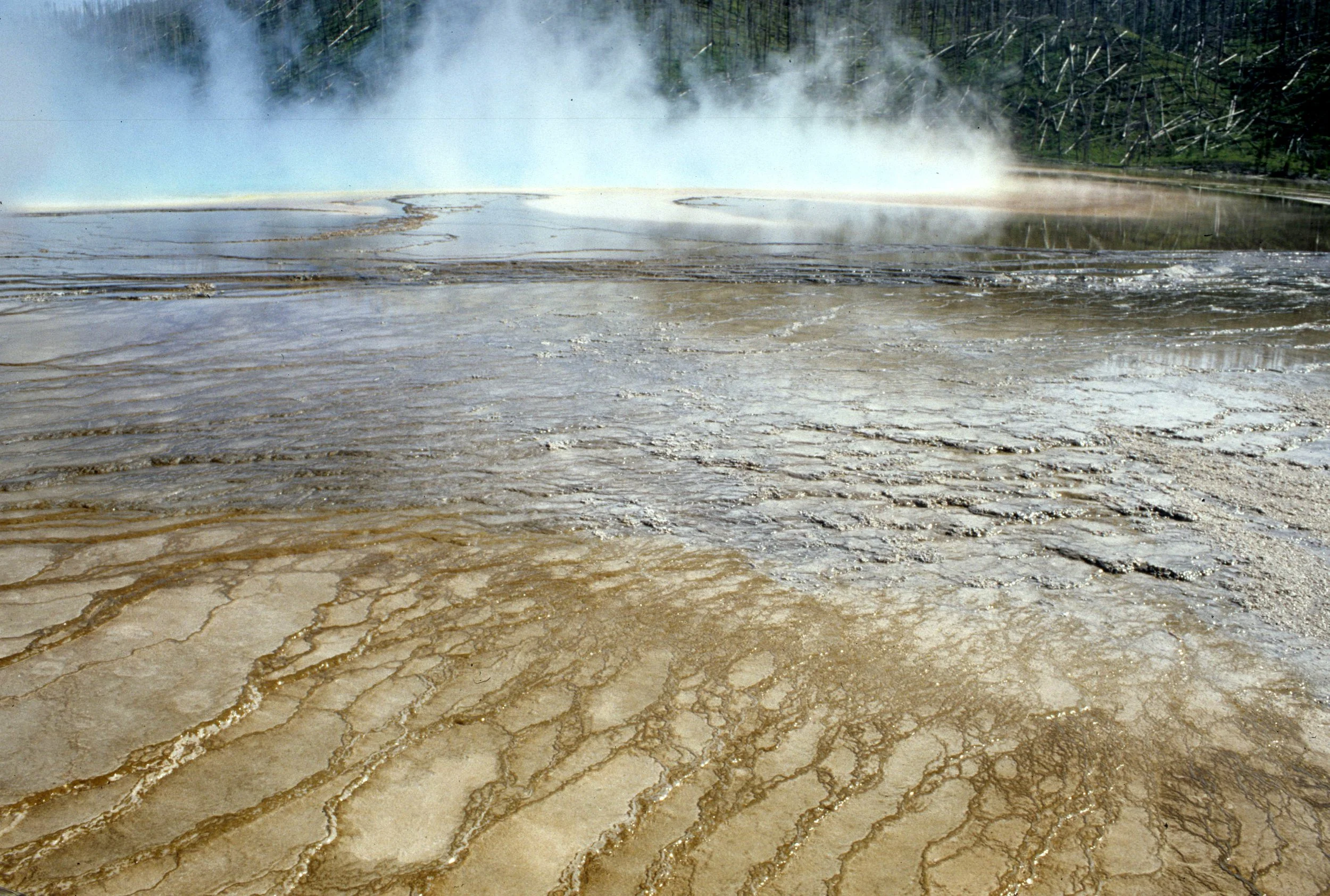 YELLOWSTONE - GRAND PRISMATIC G.jpg