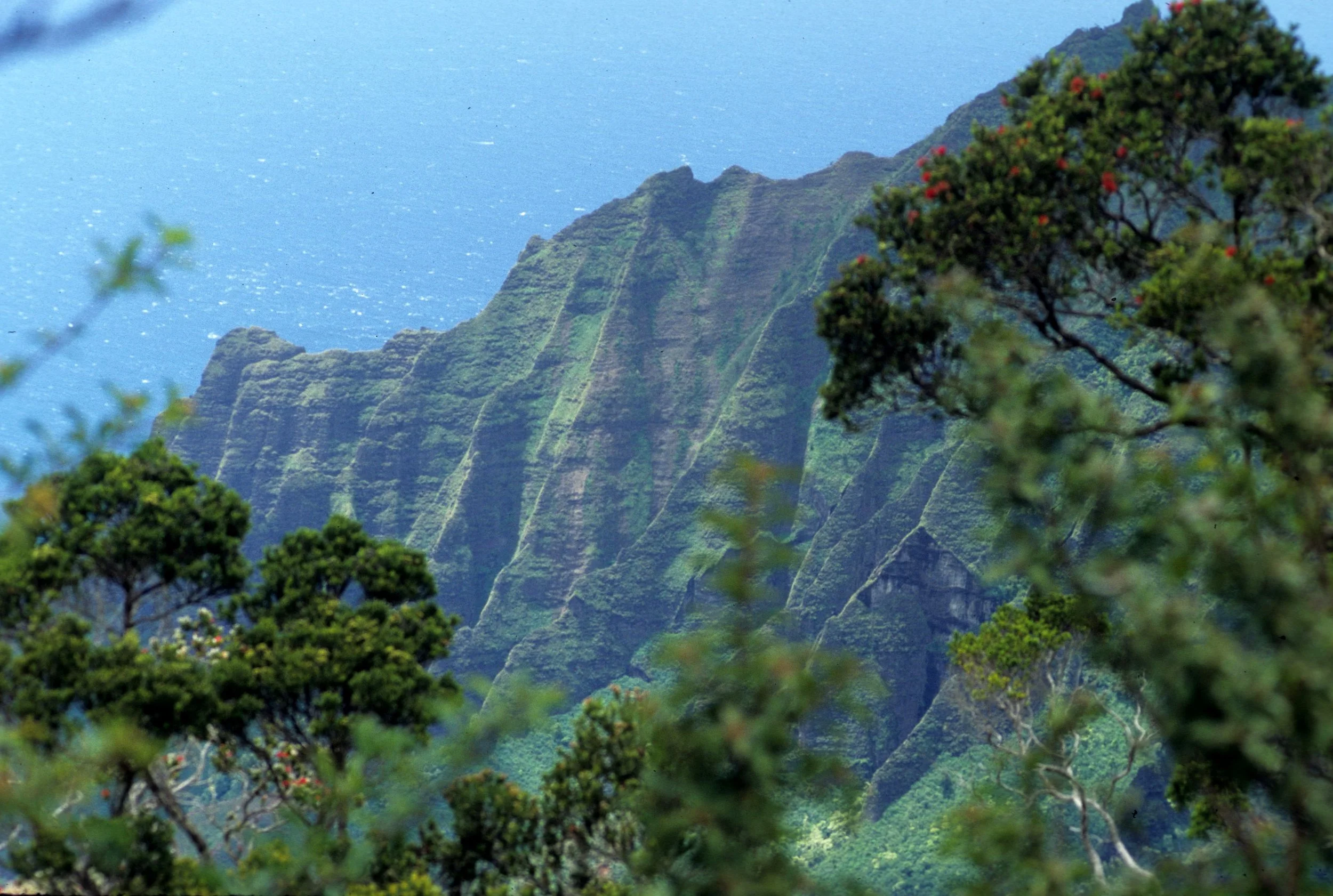 HAWAII - KAUAI - NA PALI COAST FLIGHT (2).jpg