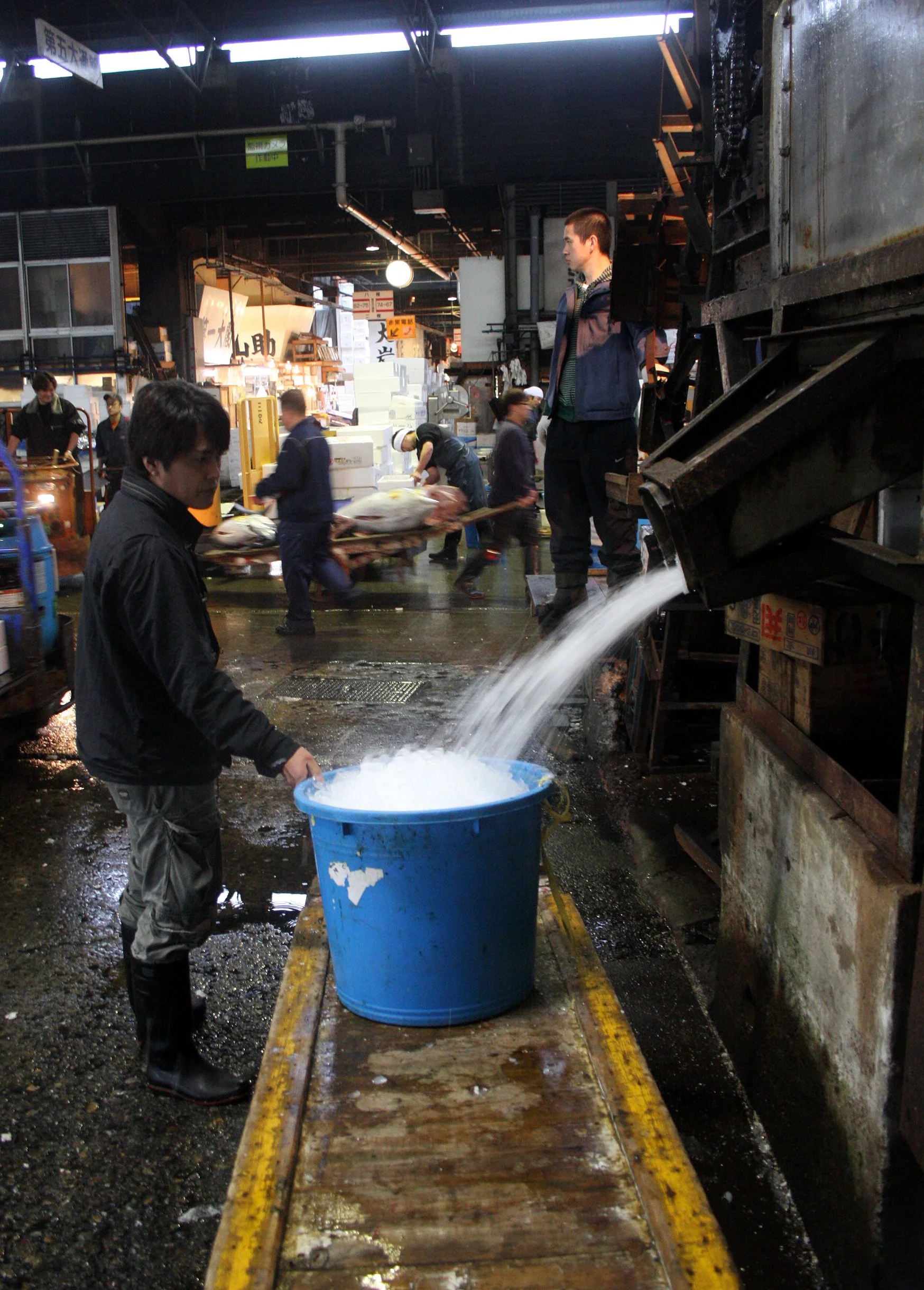 TOKYO - MAY 2009 - TSUKIJI MARKET (52).JPG