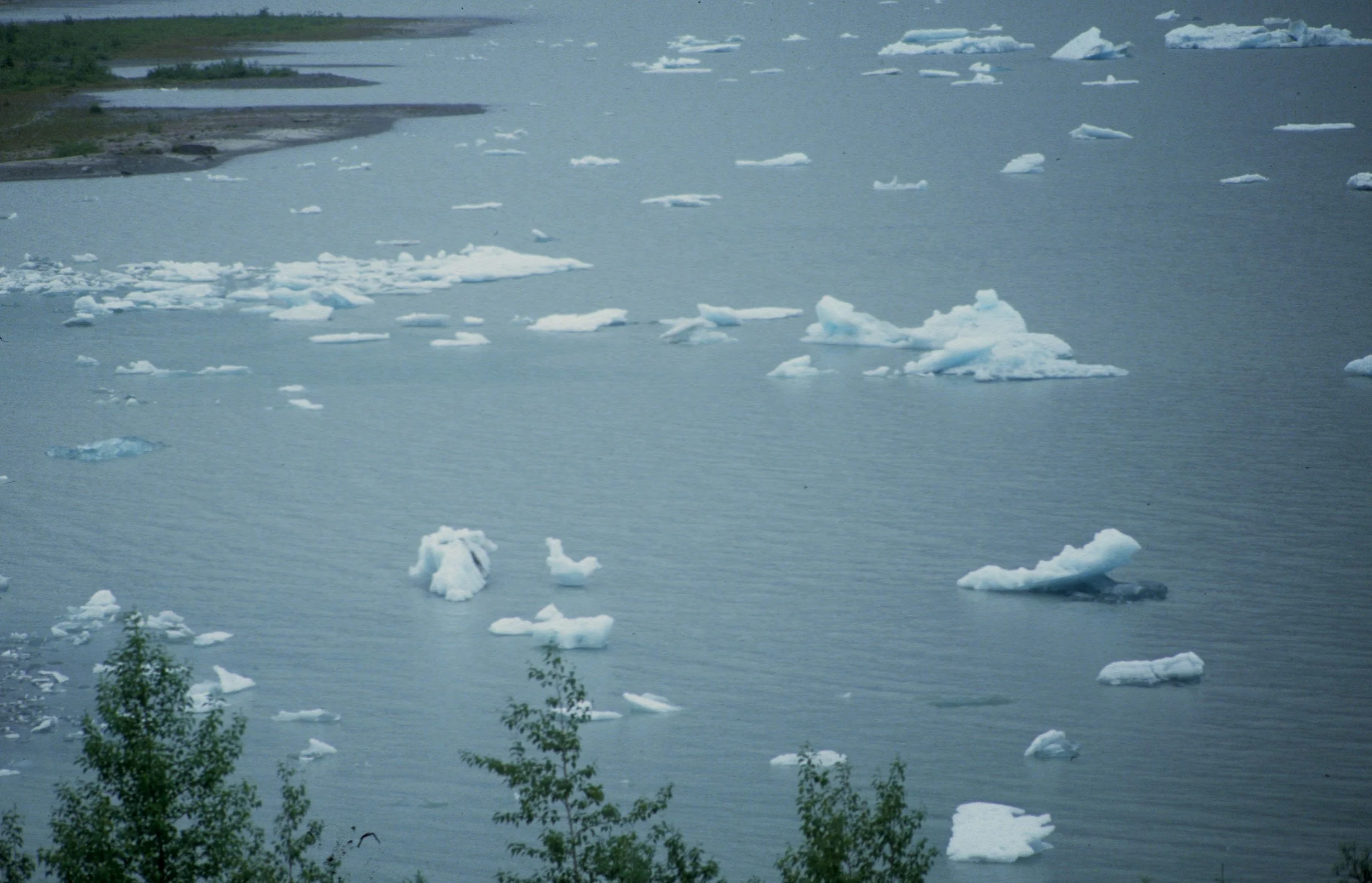 ALASKA - JUNEAU - MENDELSON GLACIER A.jpg