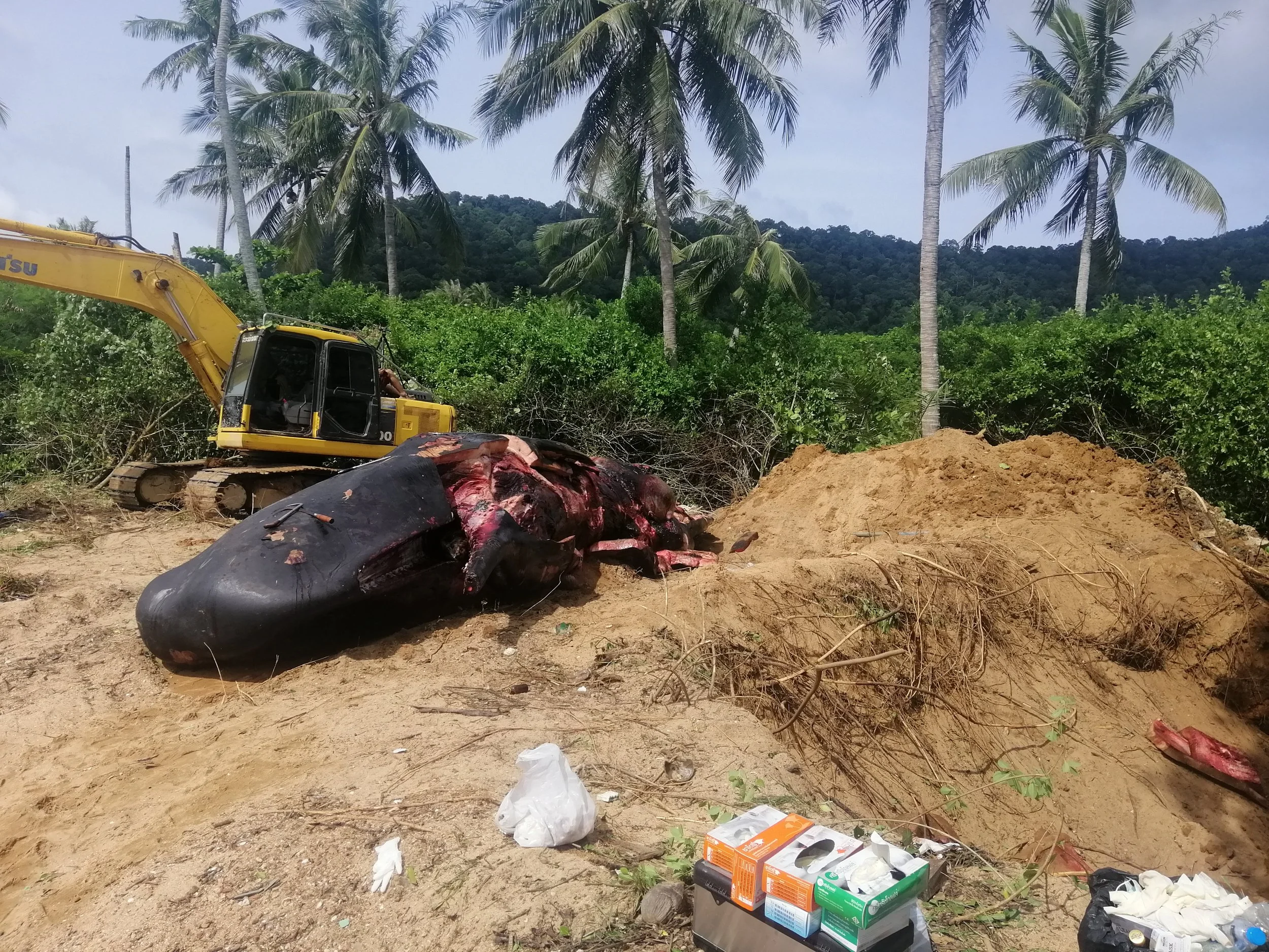 2019 Koh Lanta Summer Trip (73).jpg