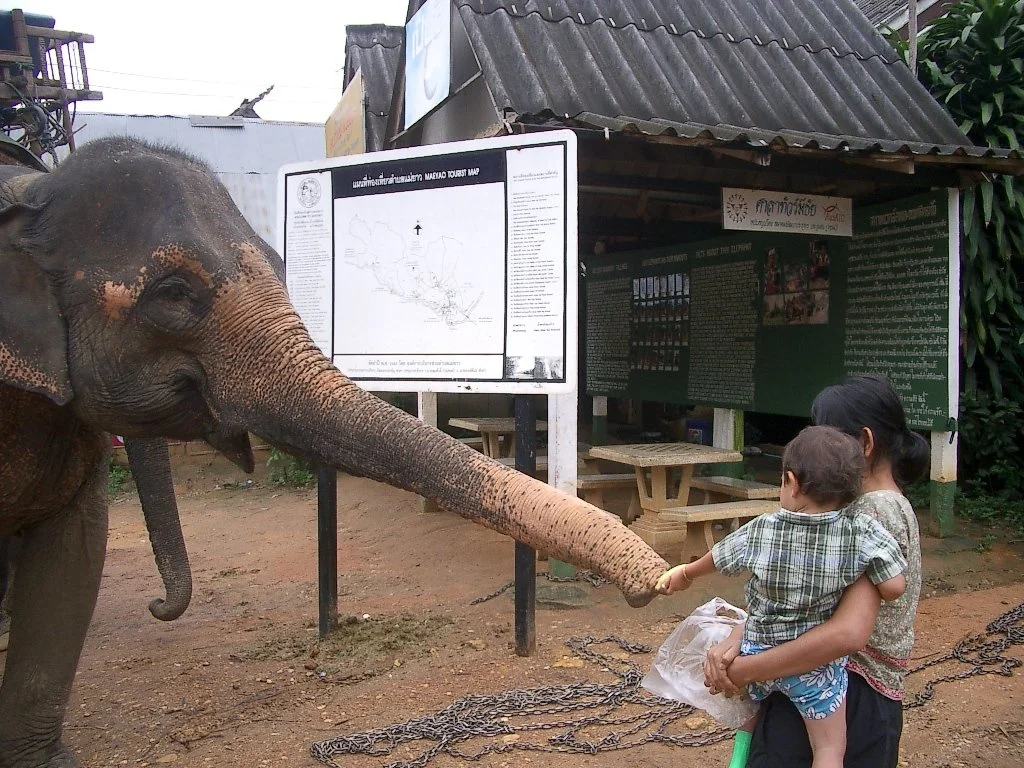 2004 Chiang Rai Hill Tribes and Golden Triangle Road Trip (47).JPG