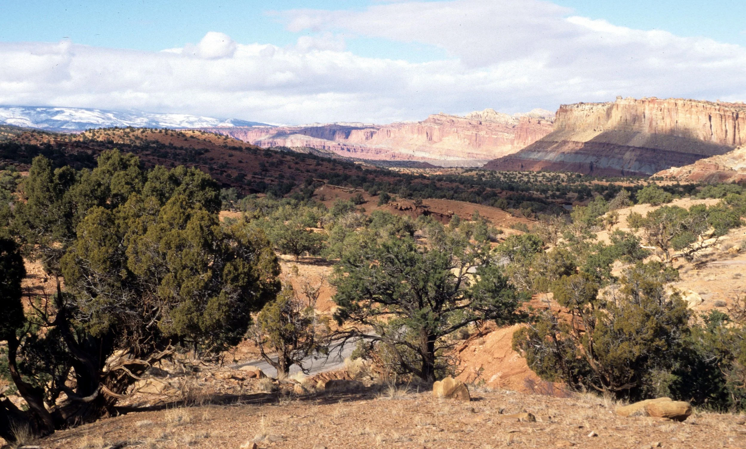 UTAH - CAPITAL REEF NAT PARK VIEW.jpg
