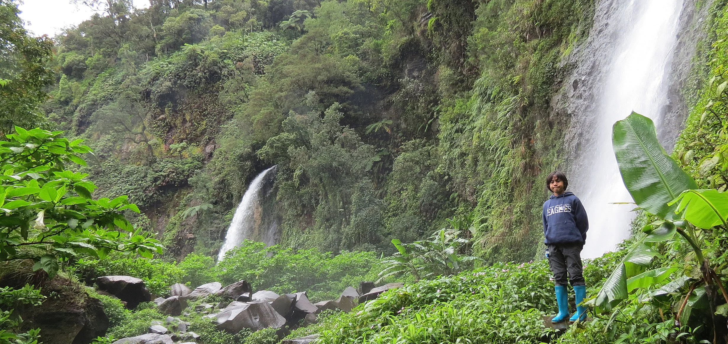 GEDE NATIONAL PARK - JAVA BARAT INDONESIA (18).JPG