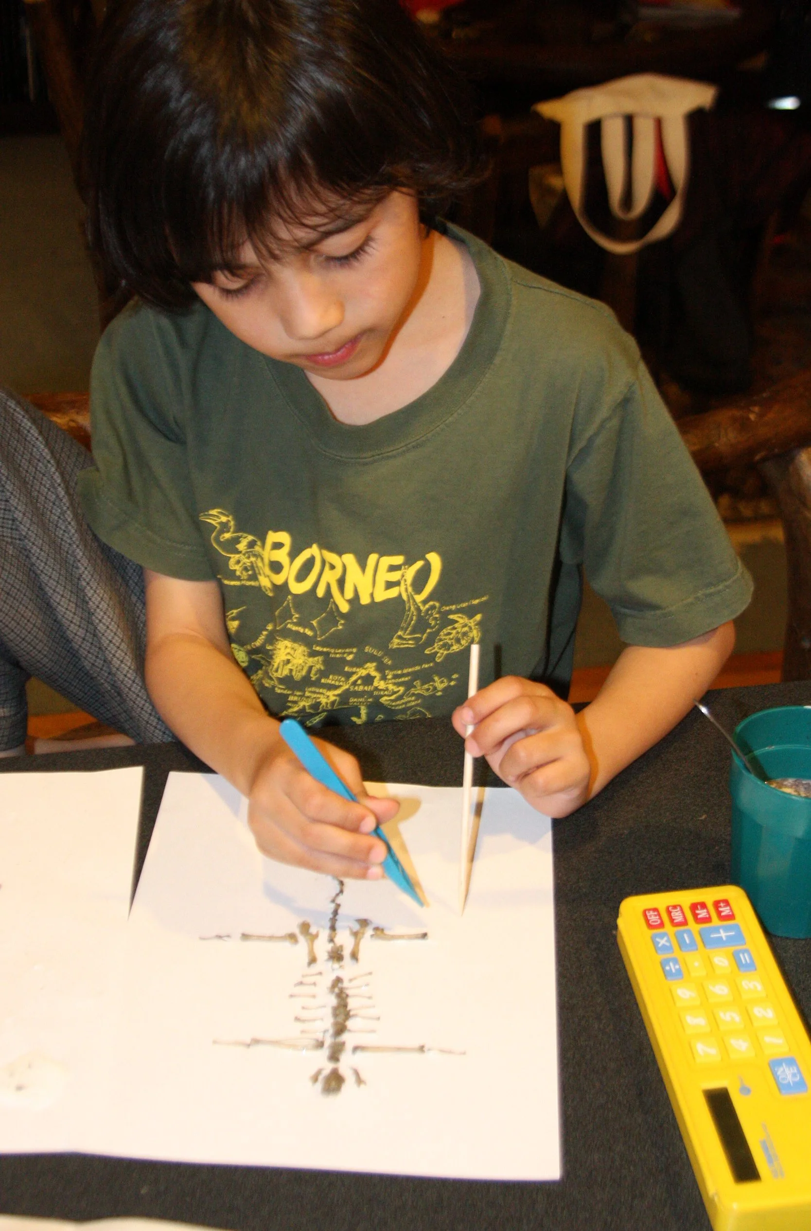 2009-10-29 COKIE'S FIRST OWL PELLET.jpg