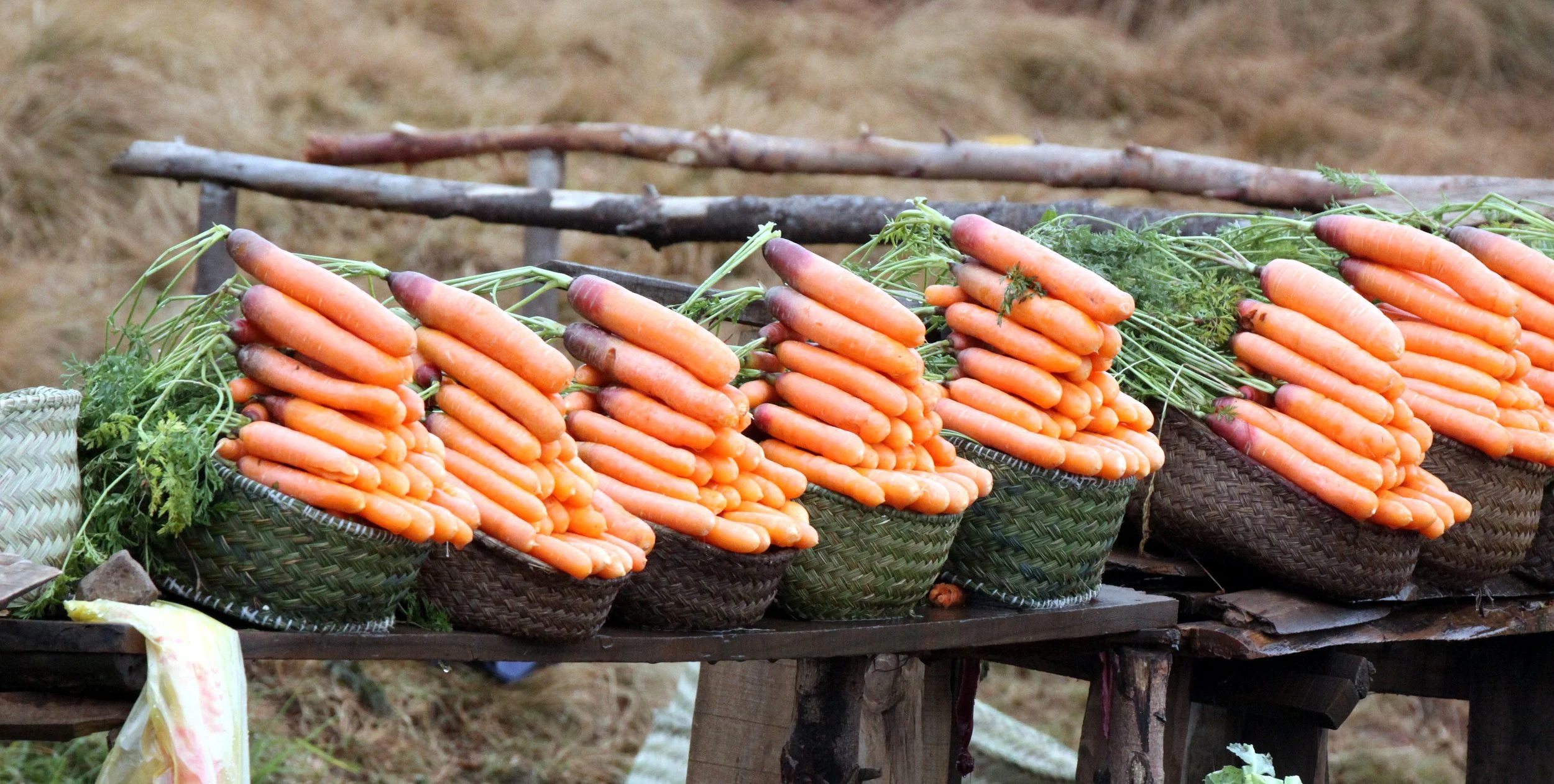 CENTRAL HIGHLANDS - ROAD TO RANOMAFANA (34).JPG