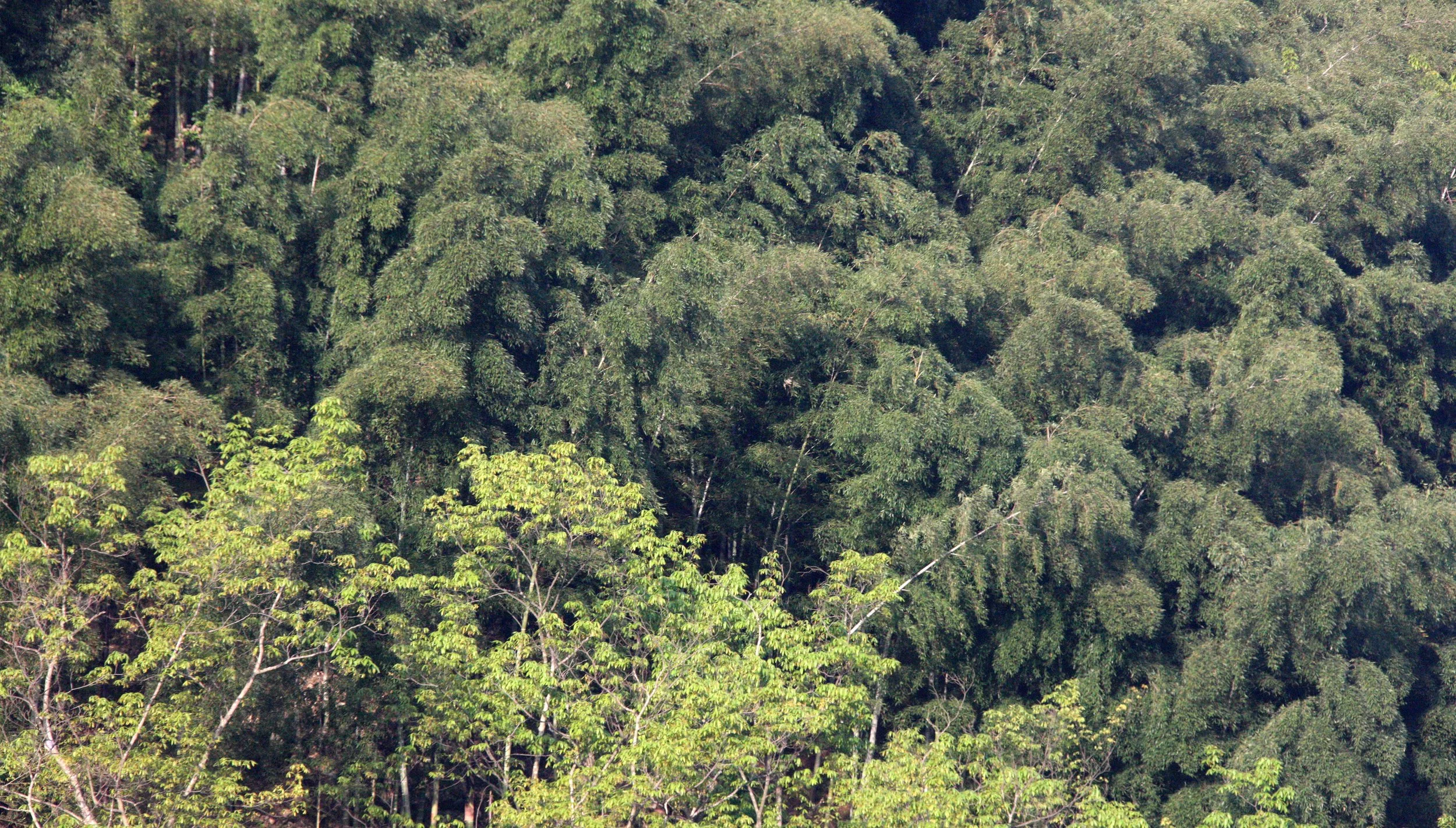 MAXIAOXIANG ZHEJIANG PROVINCE (2).JPG