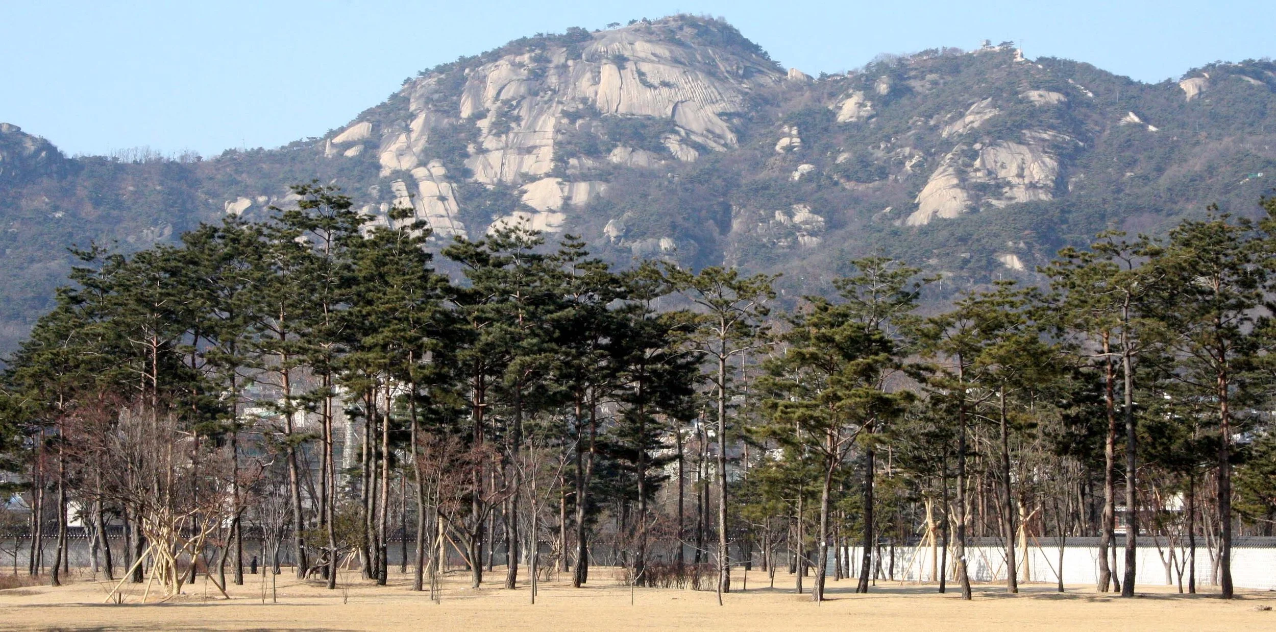 SEOUL - IMPERIAL PALACE - JAN 2009 (74).JPG