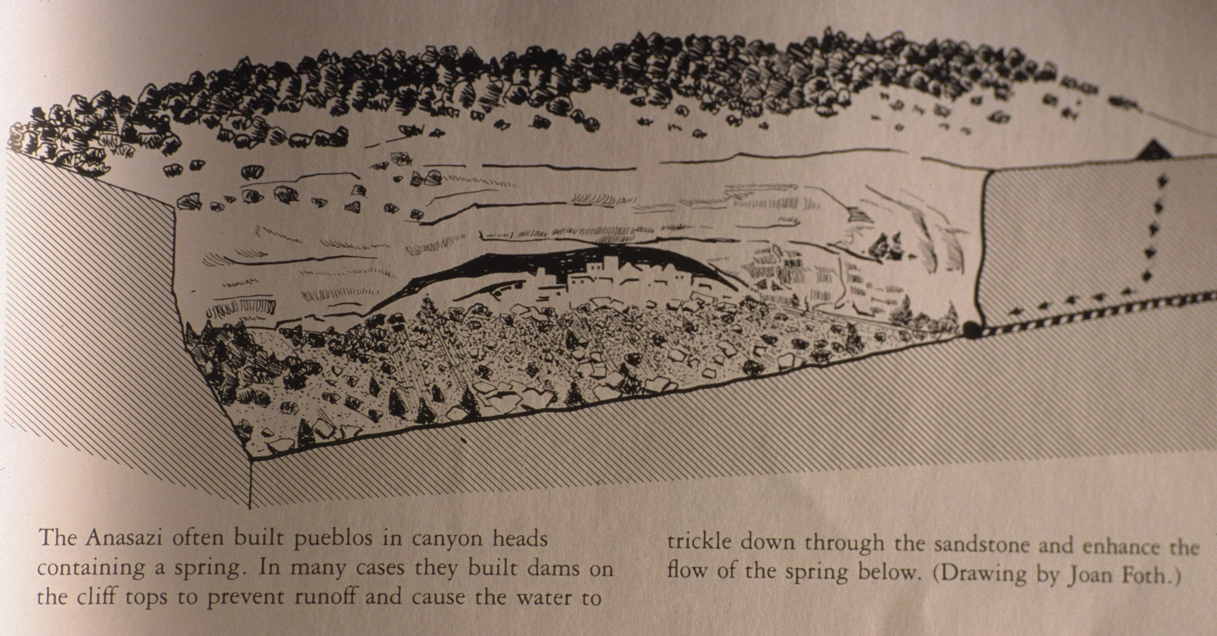 ANASAZILAND - MESA VERDE NATIONAL PARK (10).jpg