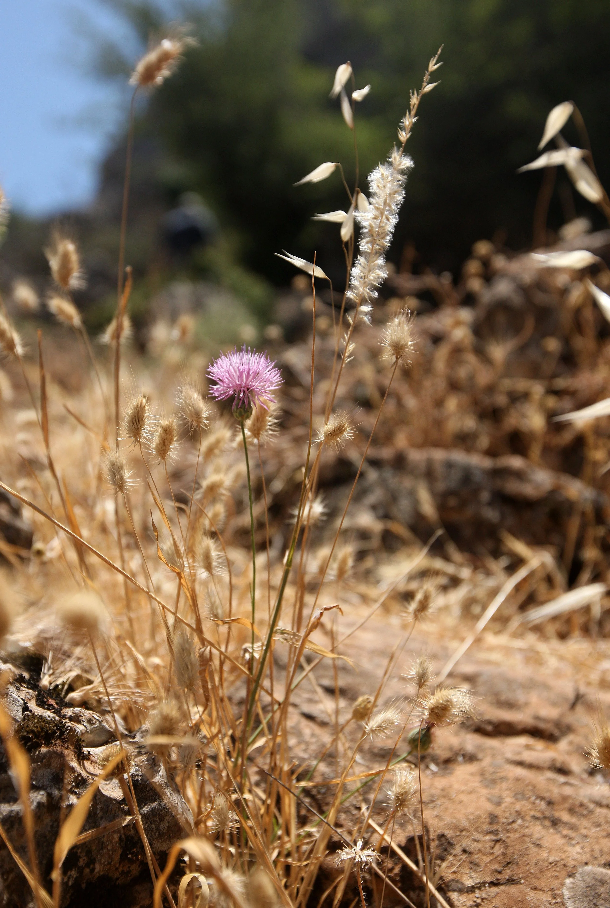 EL TORCAL SPAIN (25).JPG