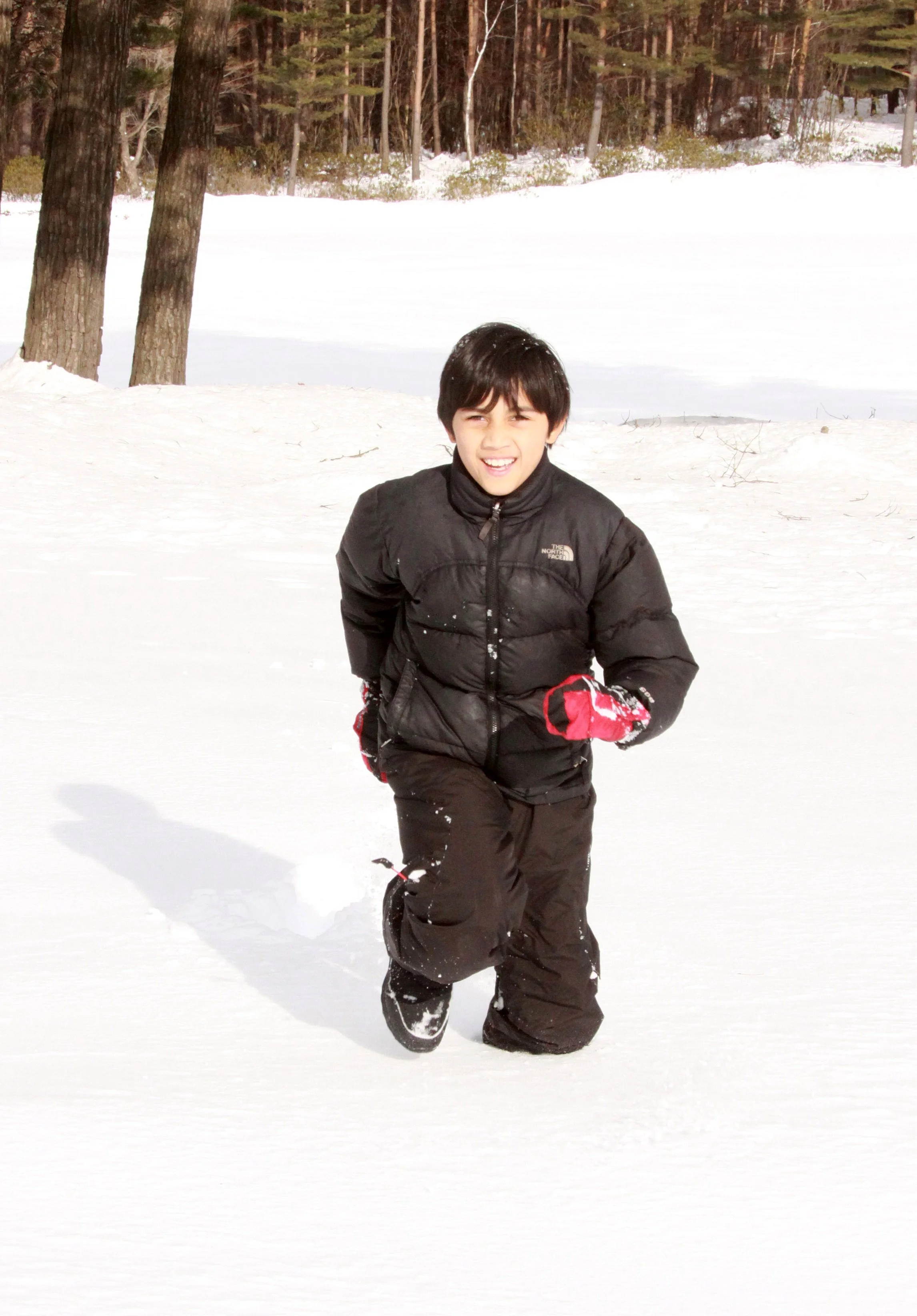 MOUNT ASAMA - JOSHIN'ETSUKOGEN NATIONAL PARK JAPAN (48).JPG