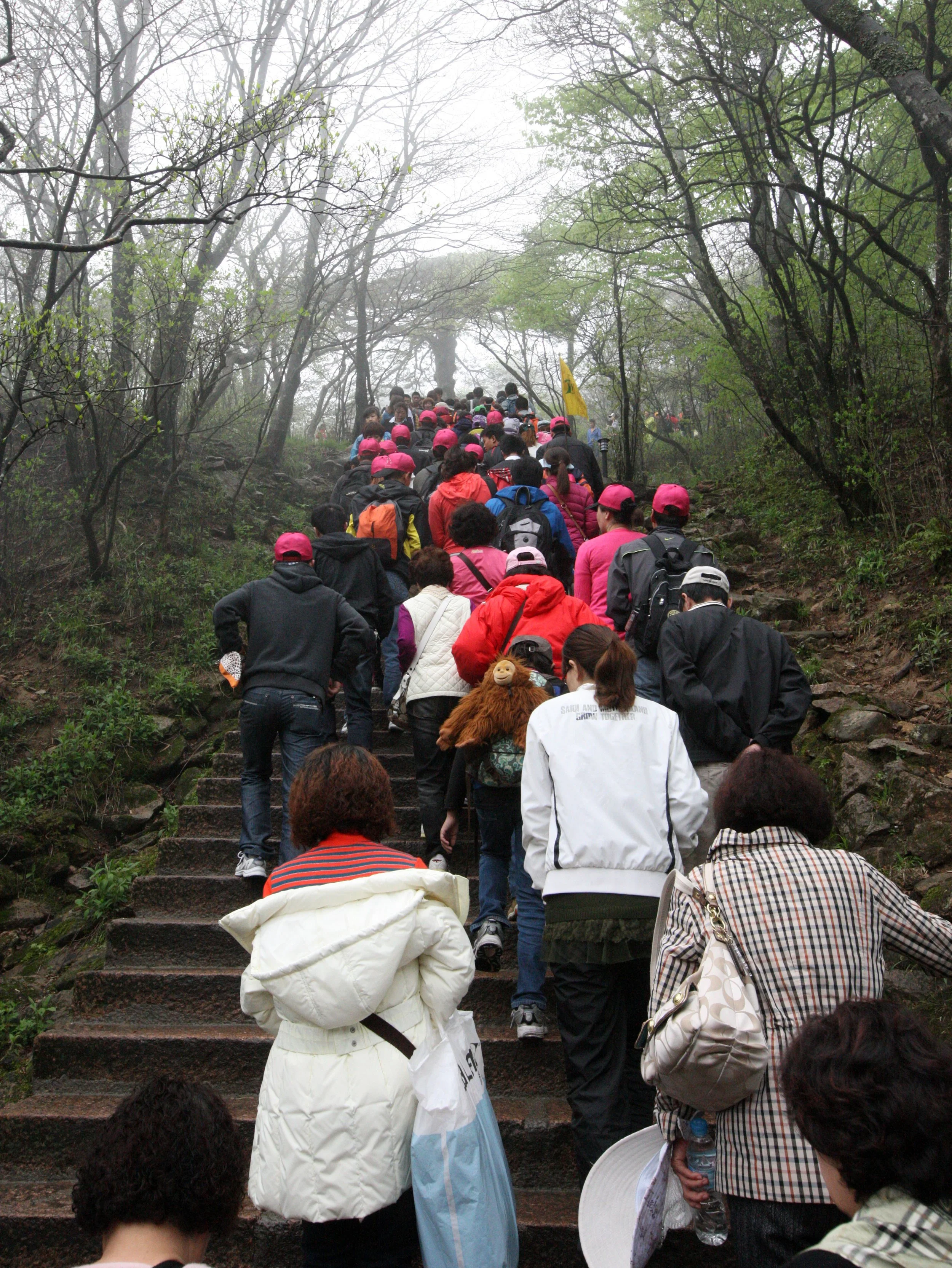 HUANGSHAN NATIONAL PARK ANHUI PROVINCE CHINA (191).JPG