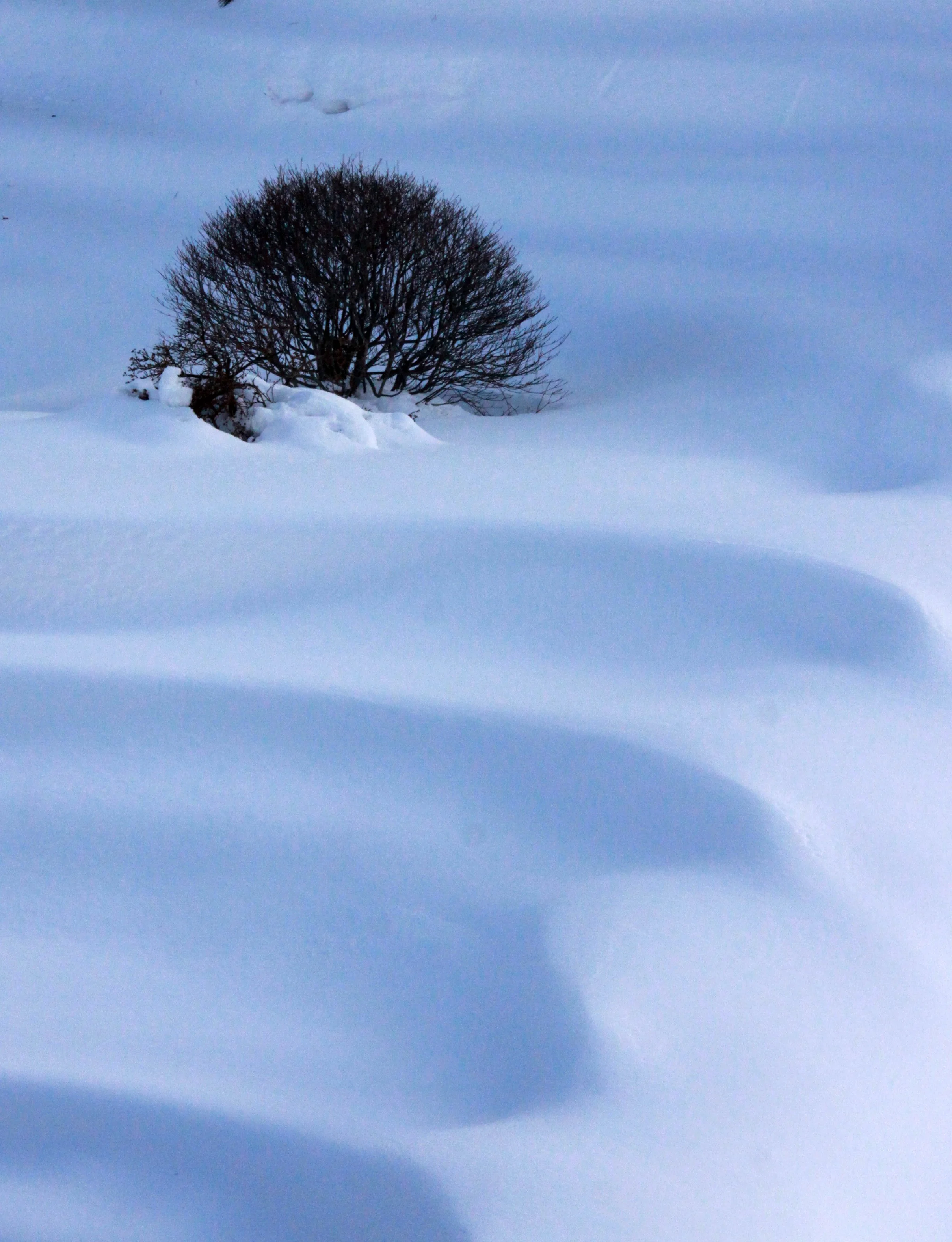 MOUNT ASAMA - JOSHIN'ETSUKOGEN NATIONAL PARK JAPAN (122).JPG