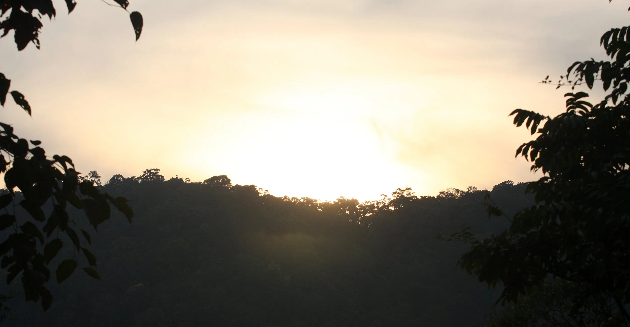KAENG KRACHAN NATIONAL PARK THAILAND - FOREST SCENES (34).JPG