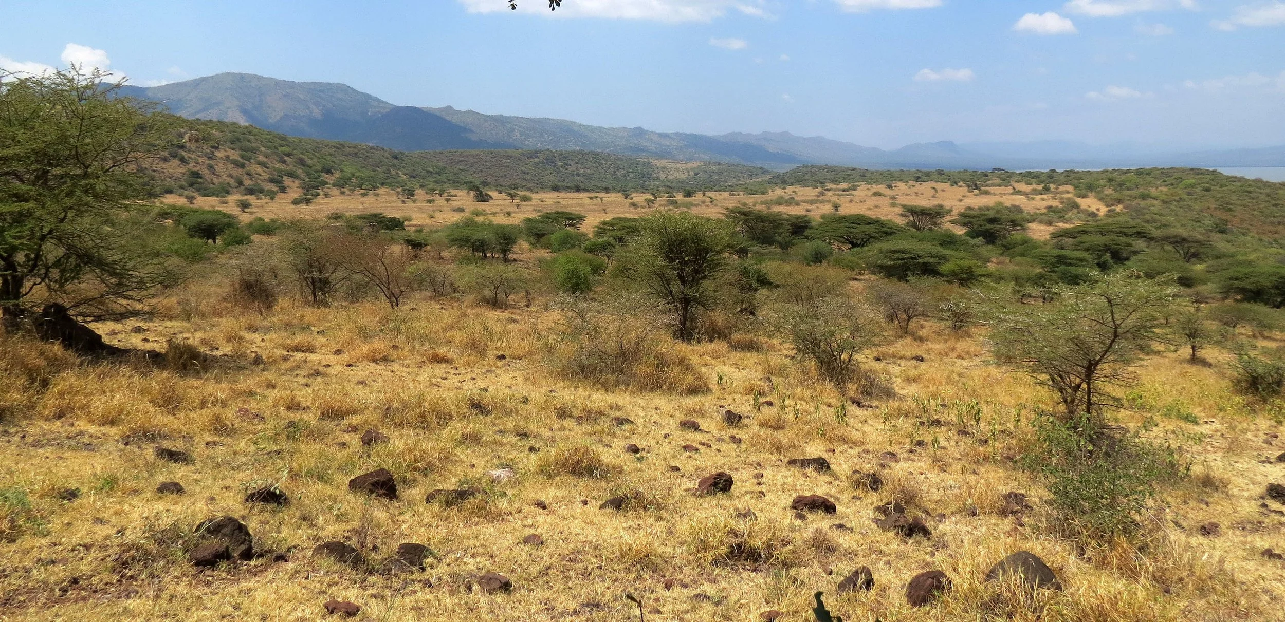 NECH SAR NATIONAL PARK ETHIOPIA (11).JPG