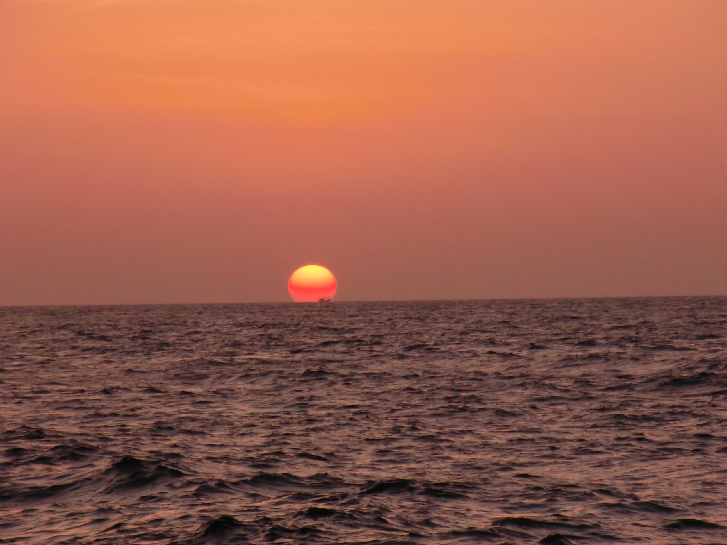 2013-14 Similan Islands Misc Images (64).JPG