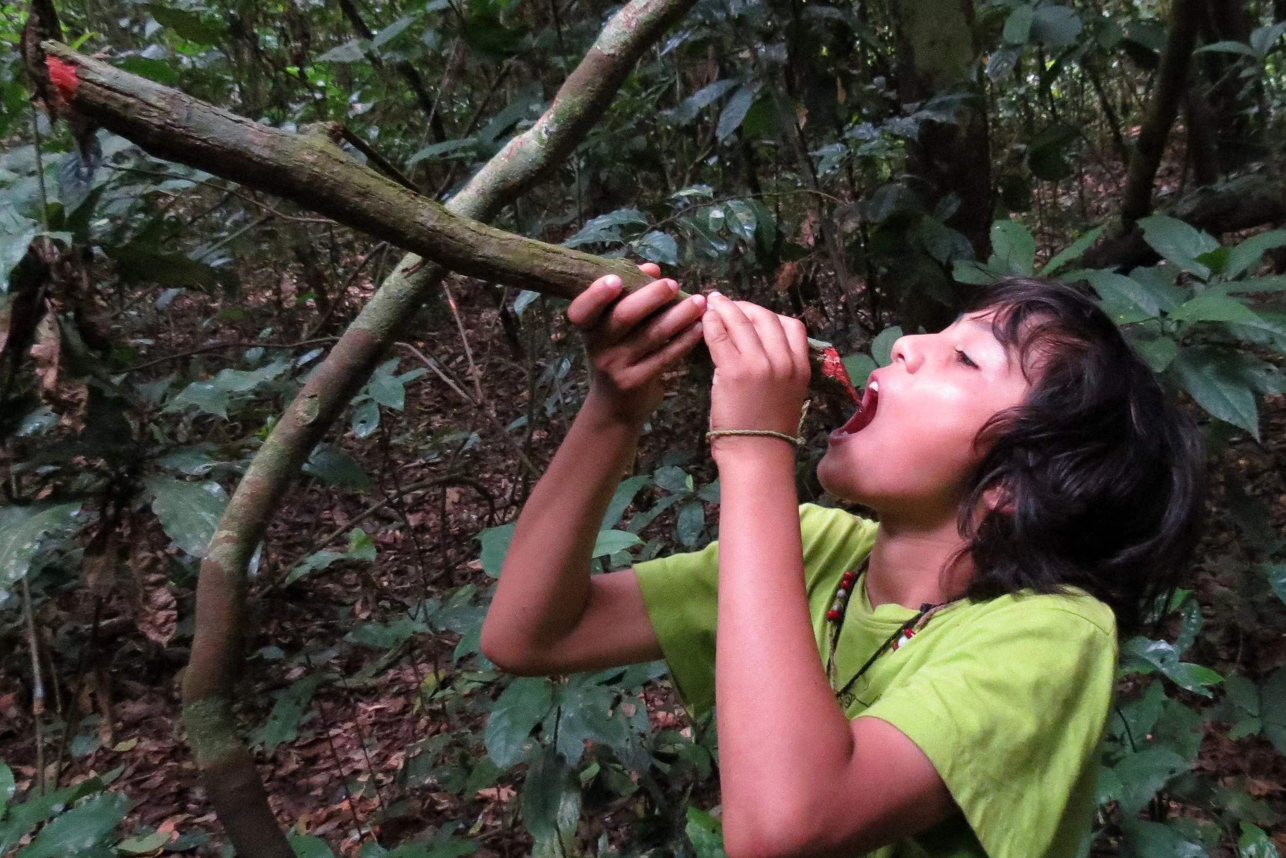 SANGHA RESERVE - BA'AKA HUNT - CENTRAL AFRICAN REPUBLIC (7).JPG