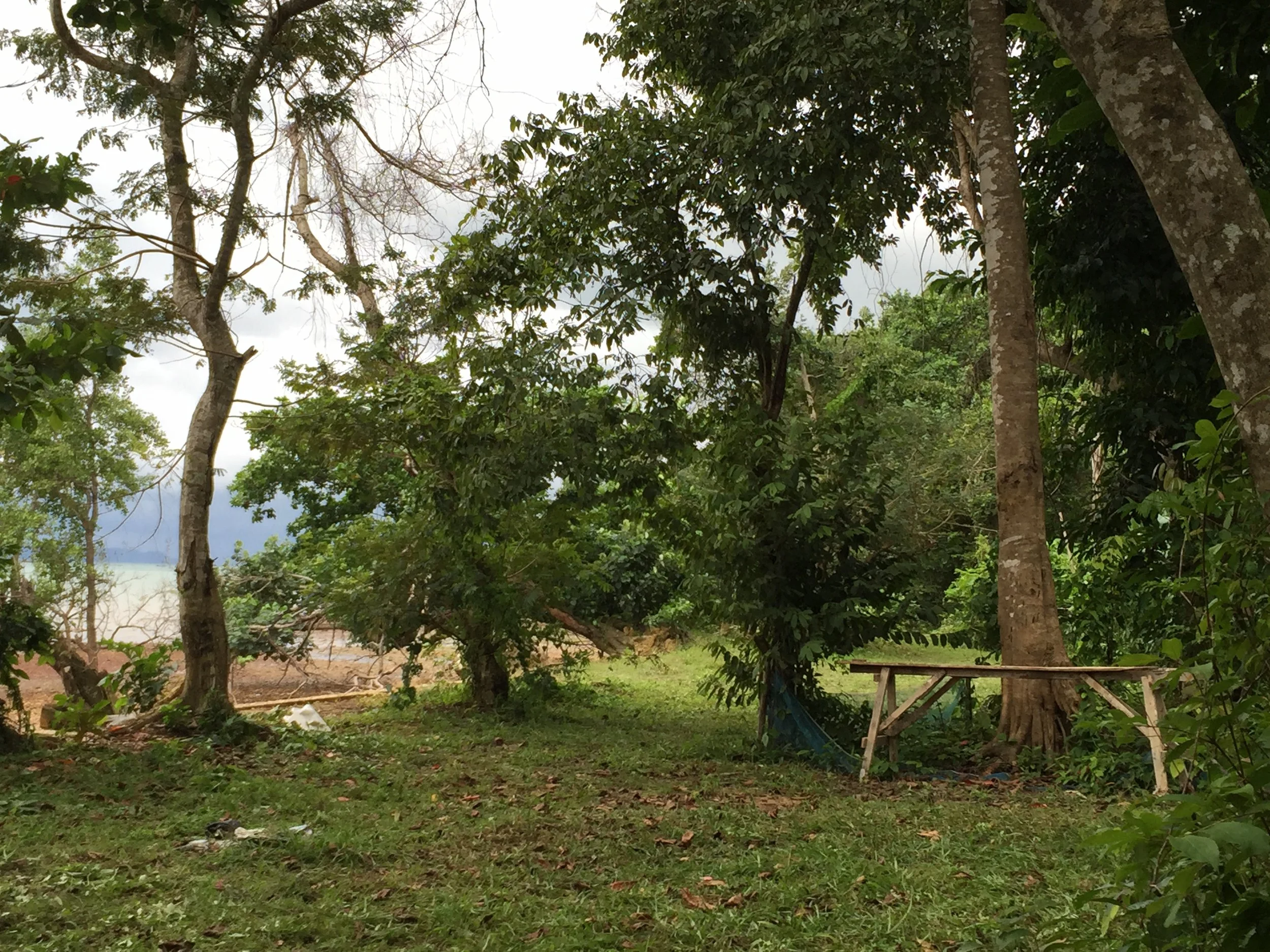 2015 Koh Lanta Garden & Nature (186).JPG