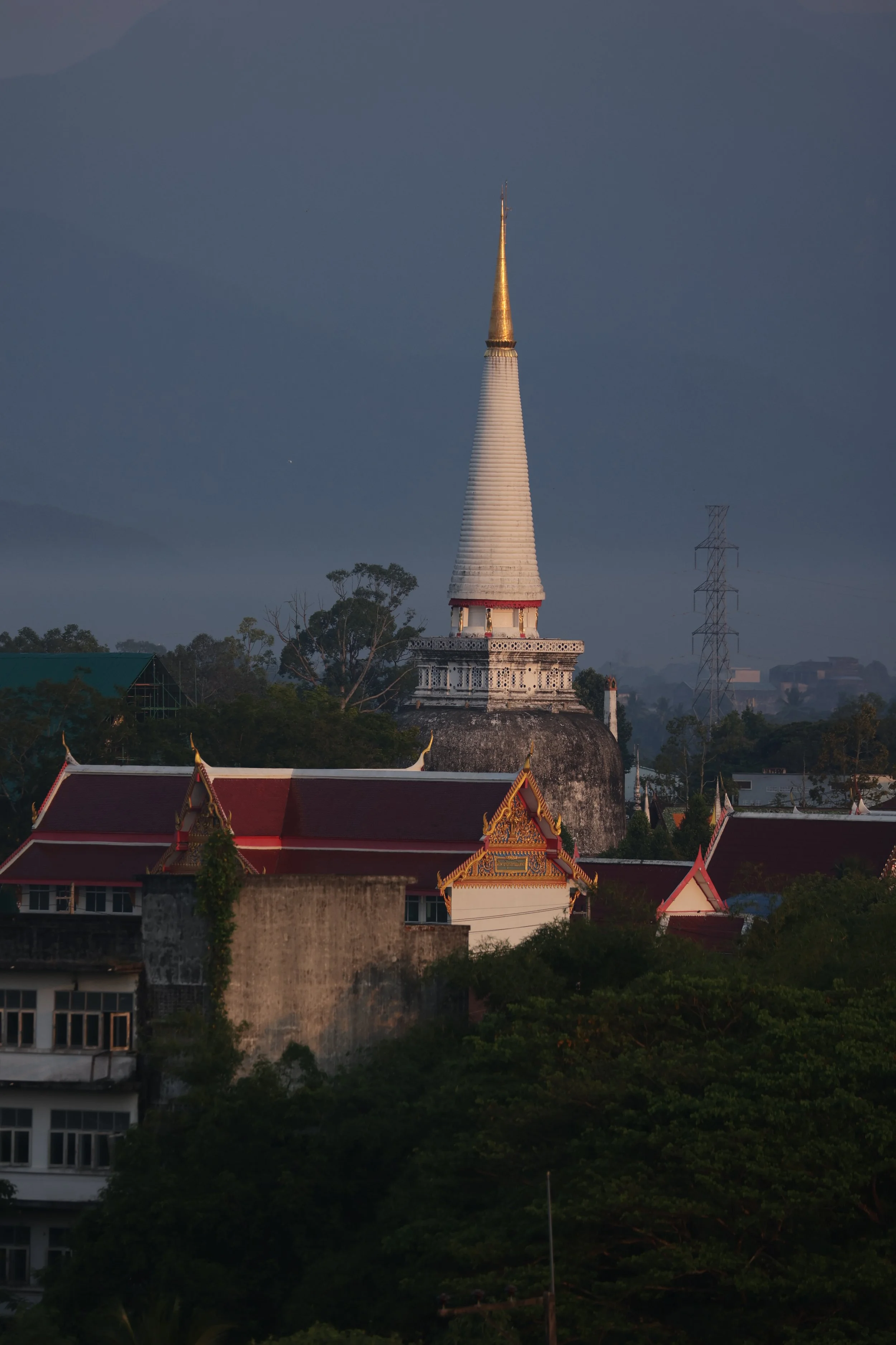 2022 Nakhonsithammarat Wat Mahatat and City Scenes with Cokie (11).JPG