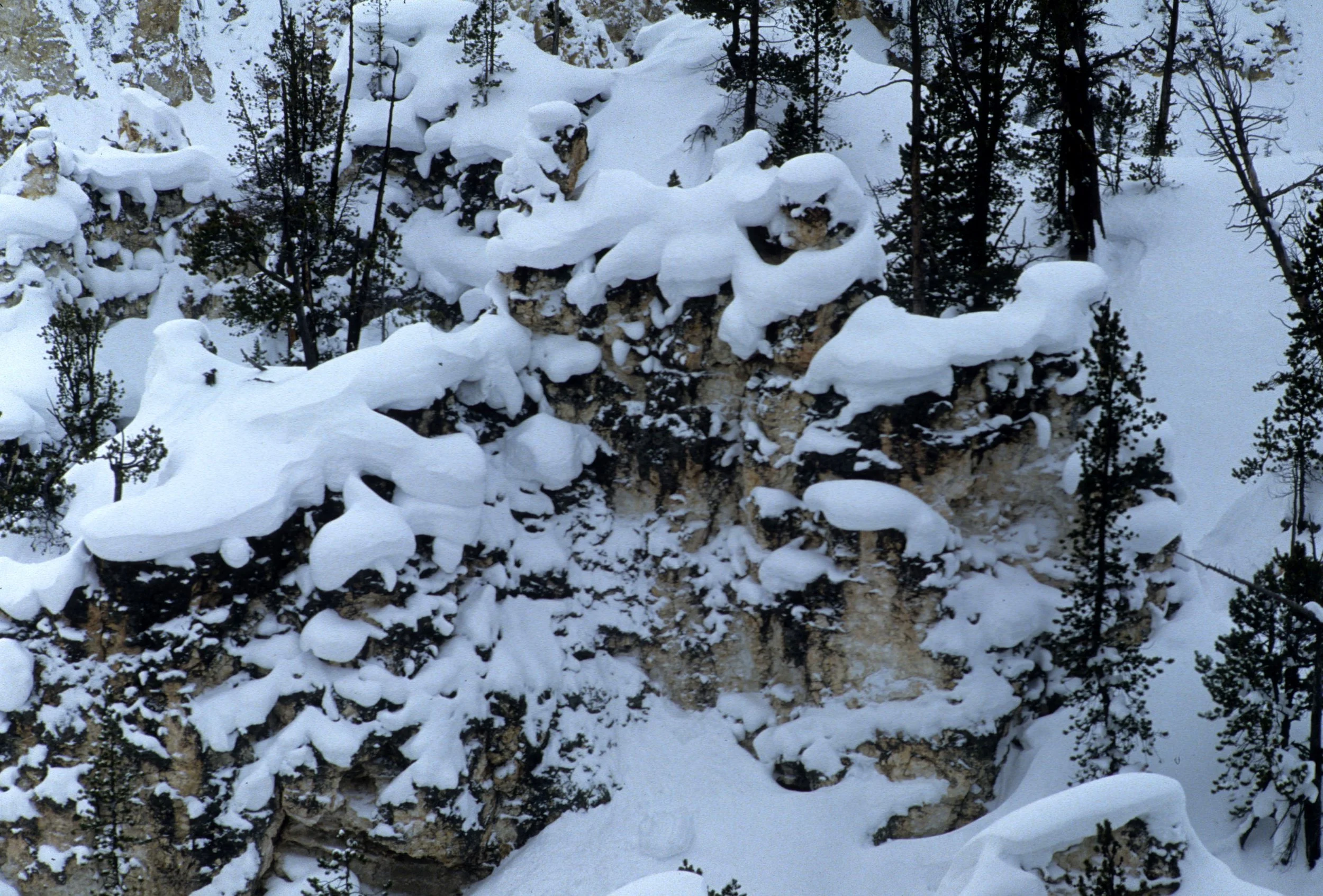YELLOWSTONE IN WINTER V.jpg