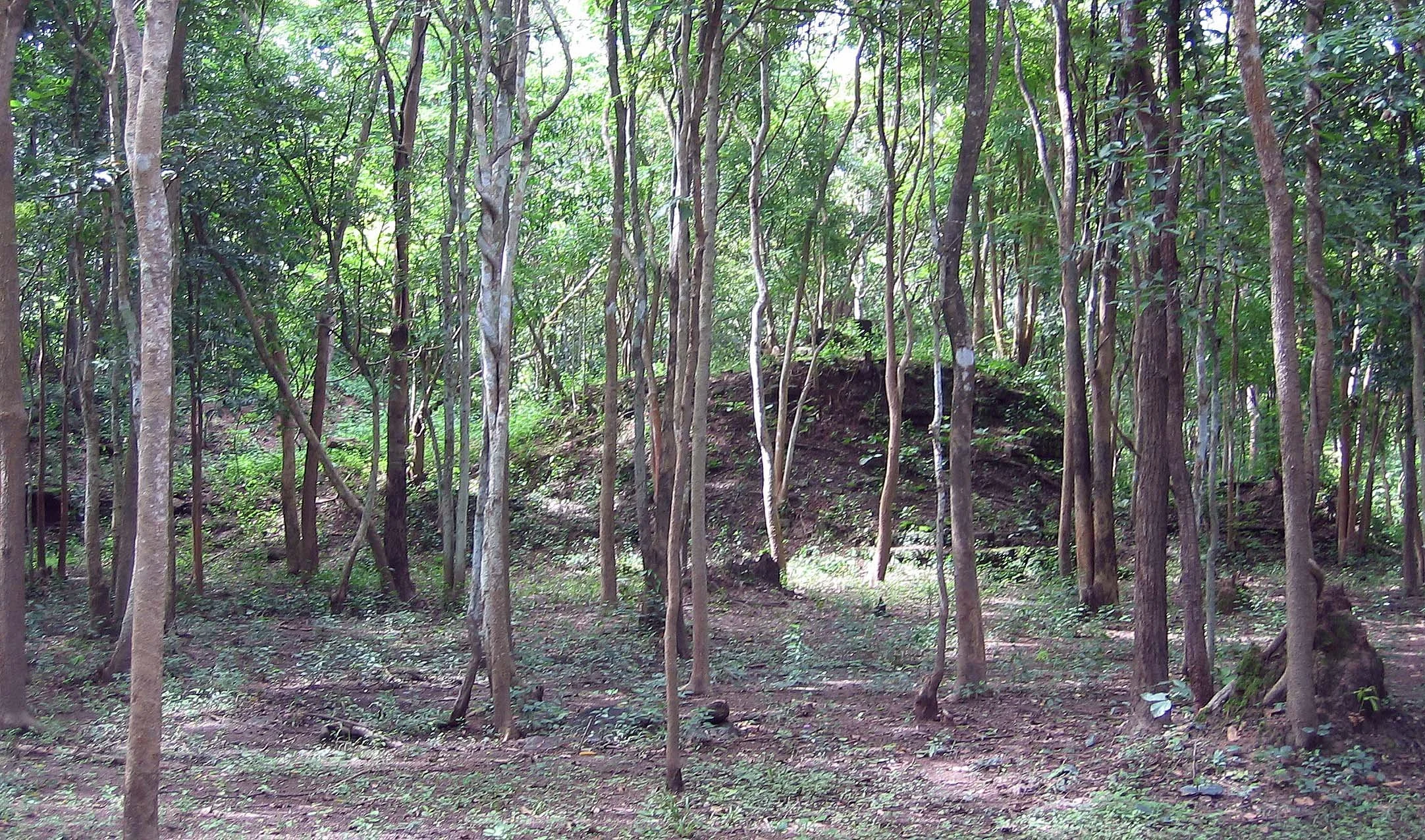 KAMPHAENG PHET - RUINS - 2006 (23).jpg
