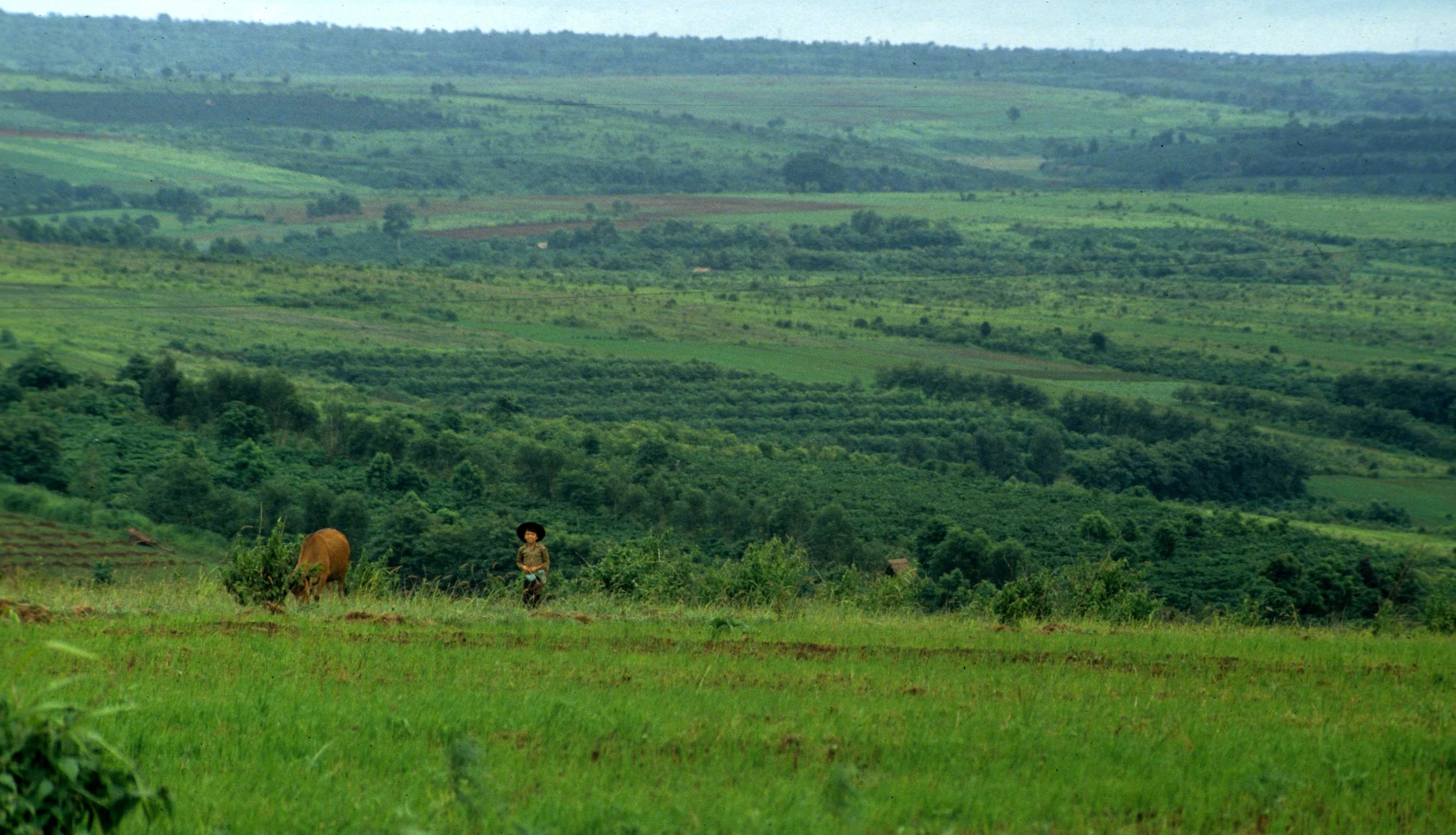 CENTRAL HIGHLANDS COUNTRYSIDE.jpg