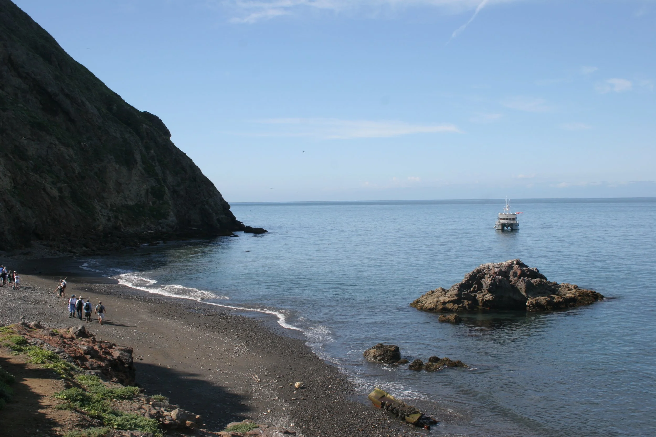 CALIFORNIA - CHANNEL ISLANDS NP - ANACAPA ISLAND (5).jpg