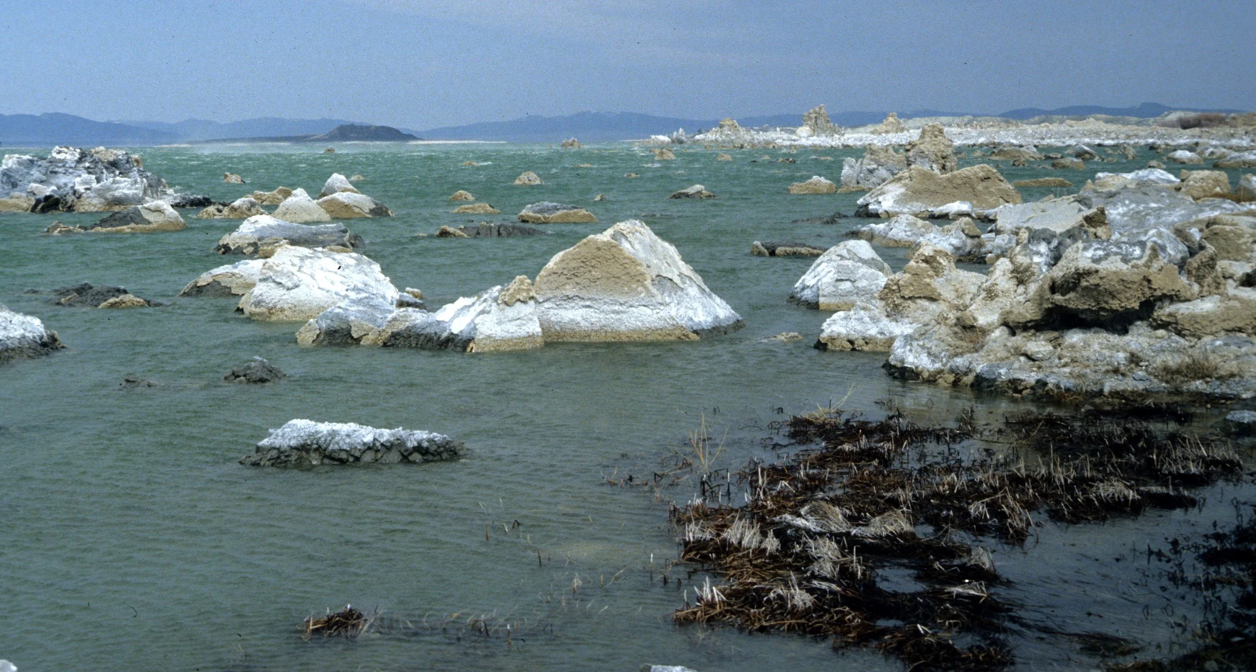 CALIFORNIA - MONO LAKE - TUFA FORMATIONS.jpg