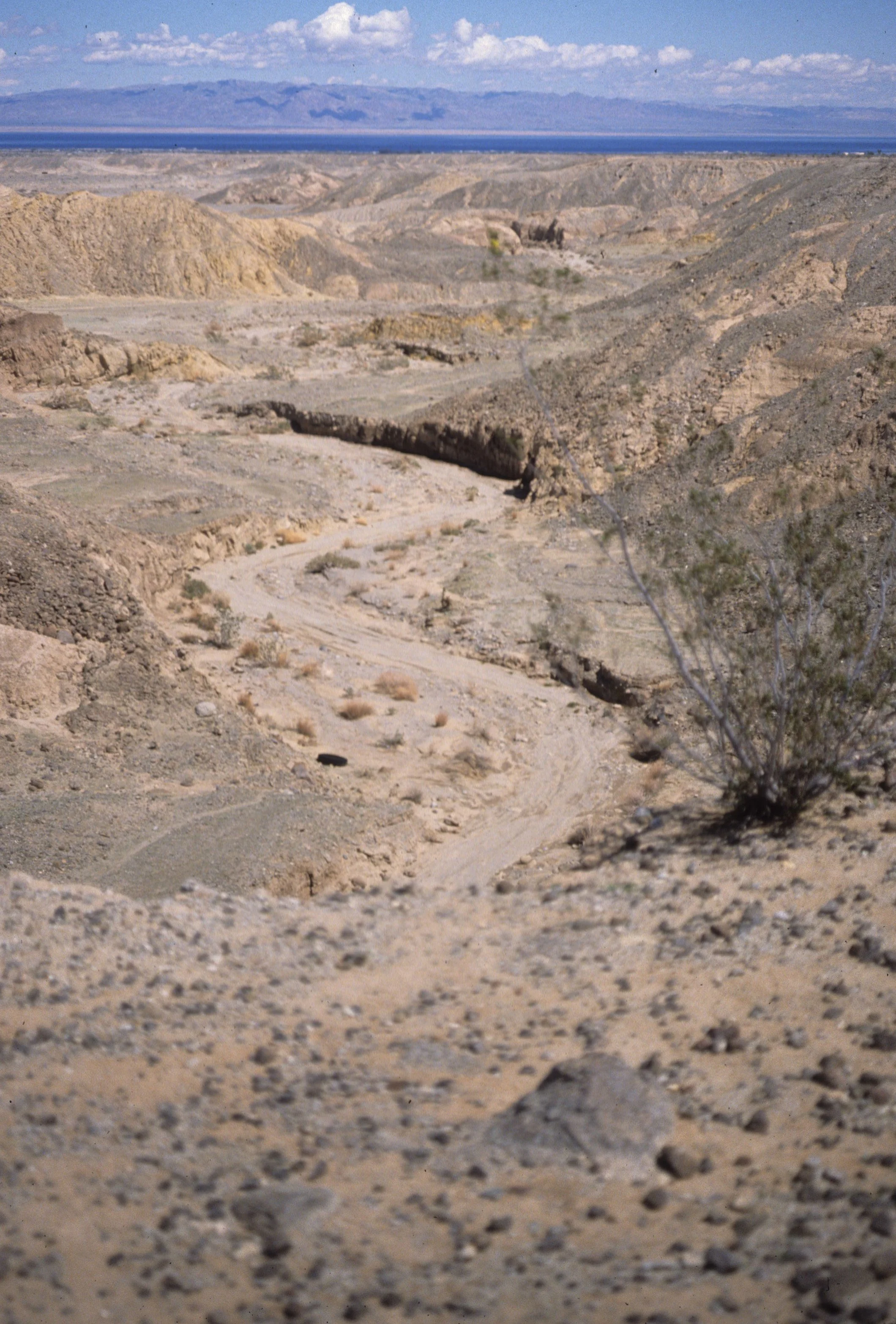 ANZA BORREGO - ARROYO A.jpg