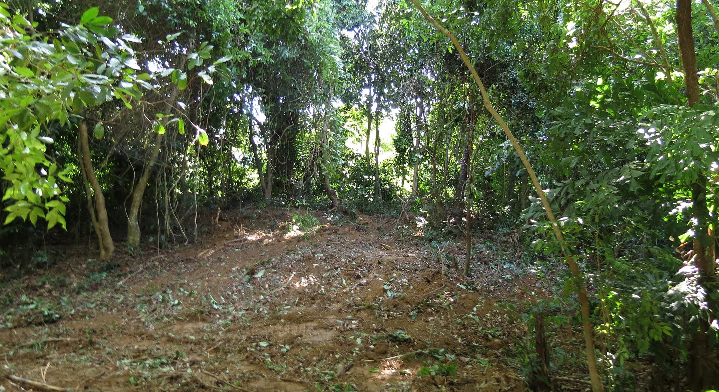 2014 Koh Lanta Build (6).JPG