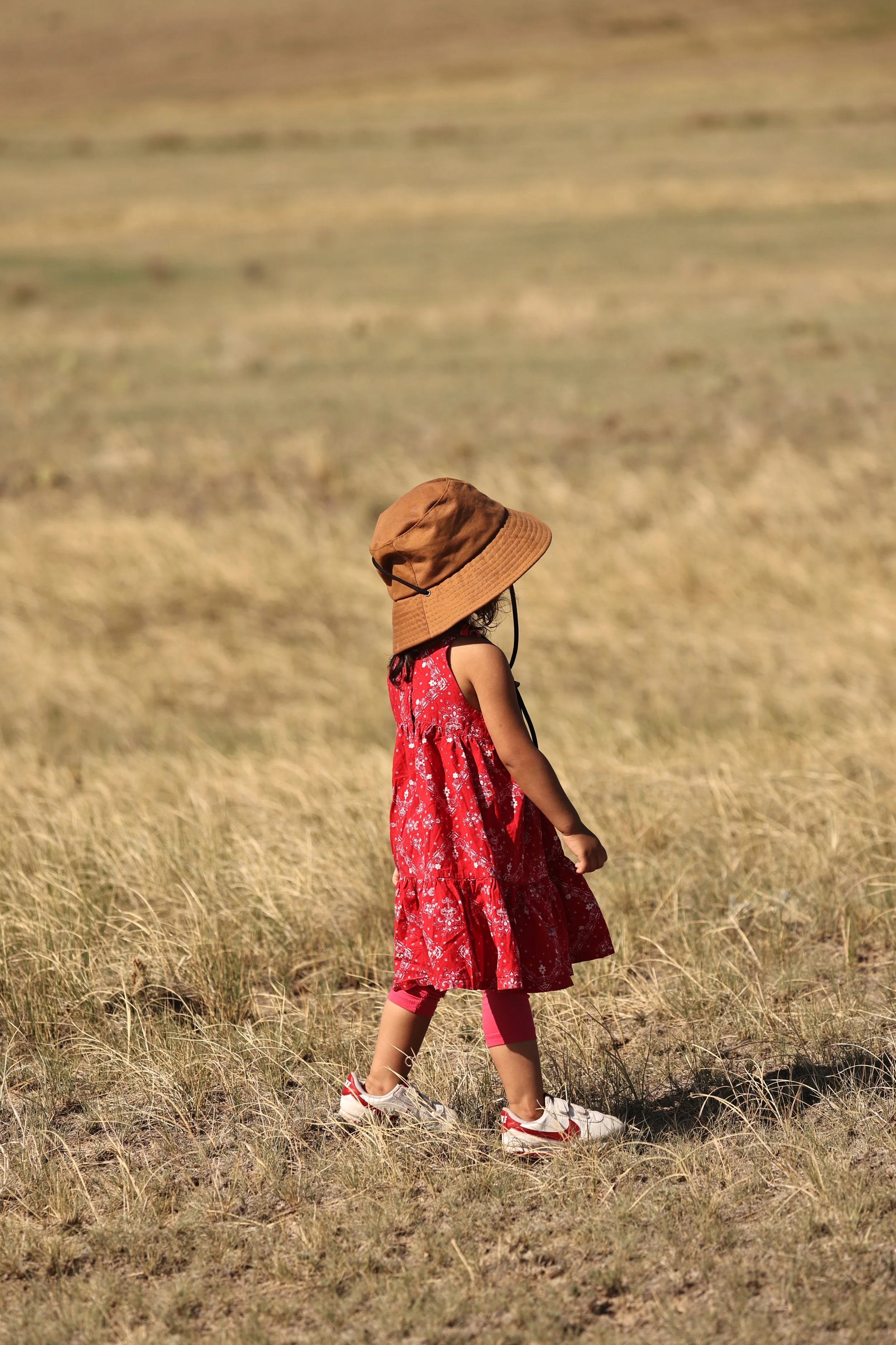 PAWNEE NATIONAL GRASSLANDS COLORADO 2022 (181).JPG